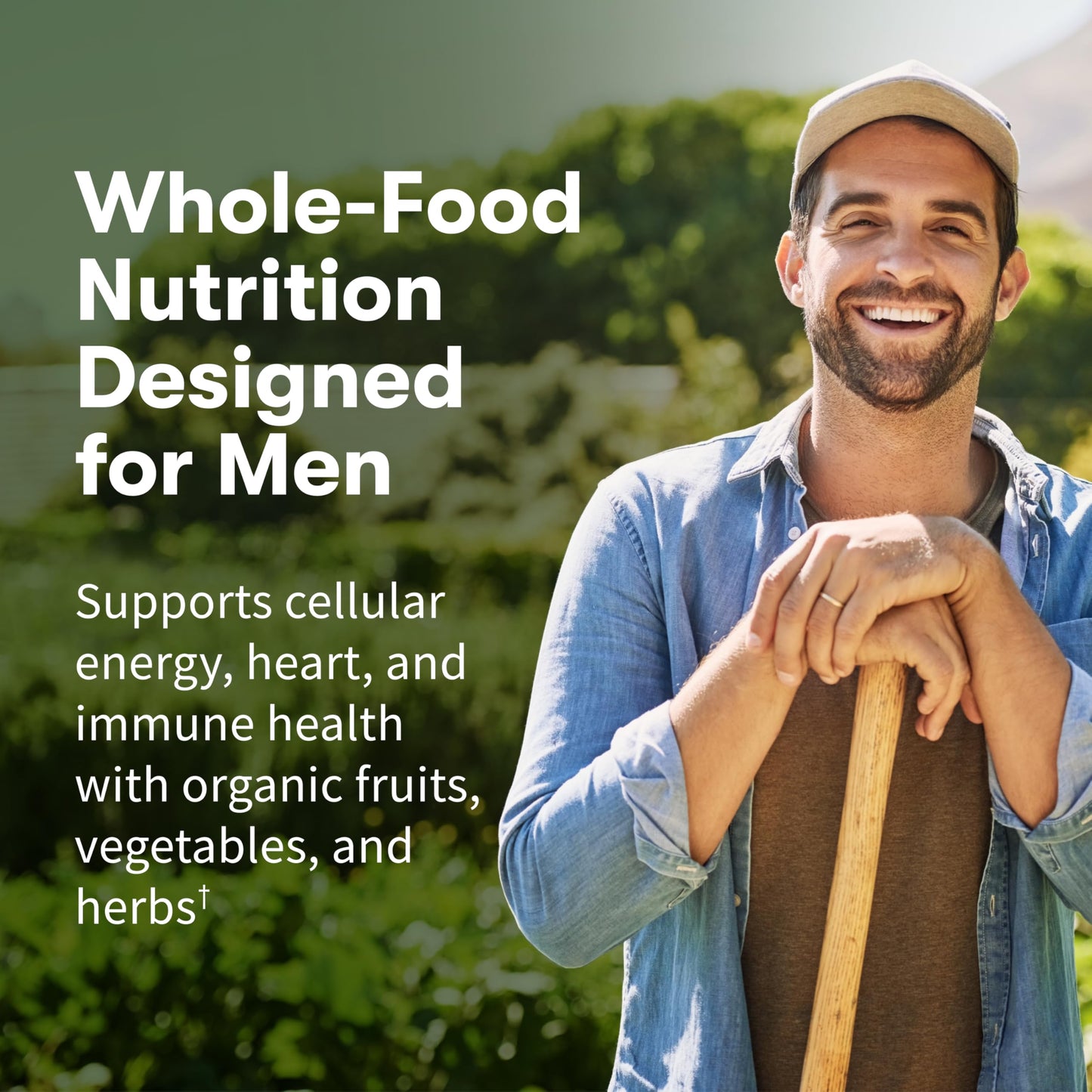 Garden of Life Once Daily Whole Food Multivitamin for Men 360 Tablets