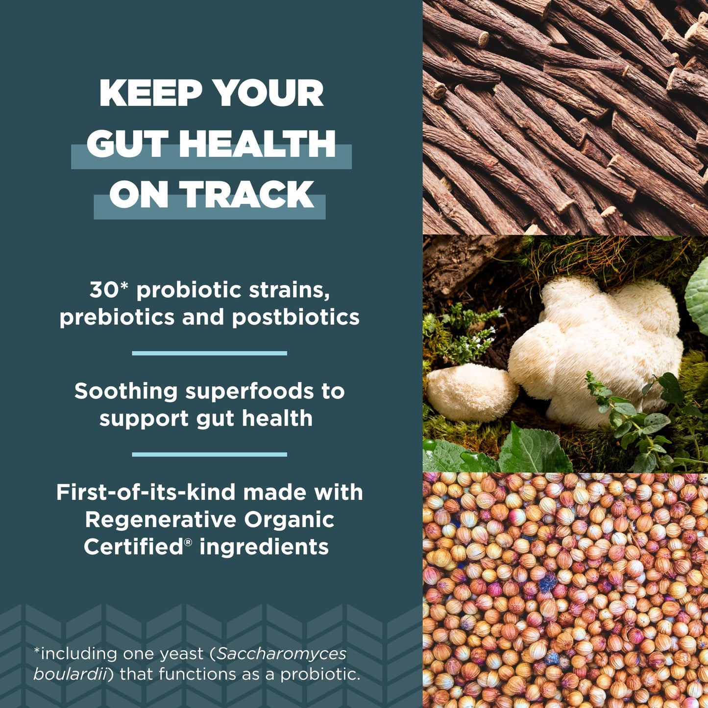 Ancient Nutrition Regenerative Organic Certified Probiotics for Gut Recovery 60 Capsules