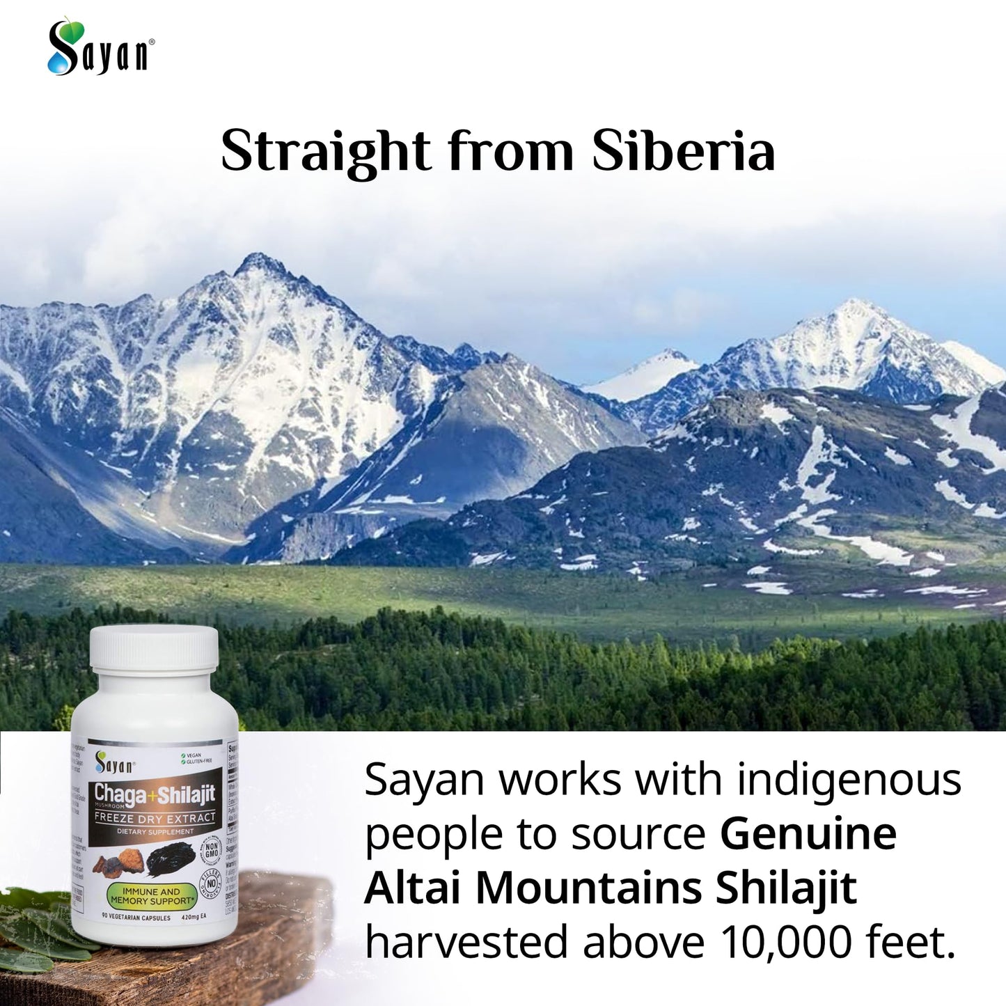 Sayan Siberian Chaga Mushroom Extract with Shilajit Capsules 90 Count