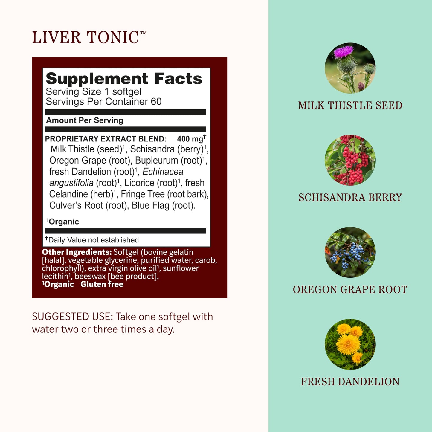 Herbs Etc. Liver Tonic Softgels, 60 Count