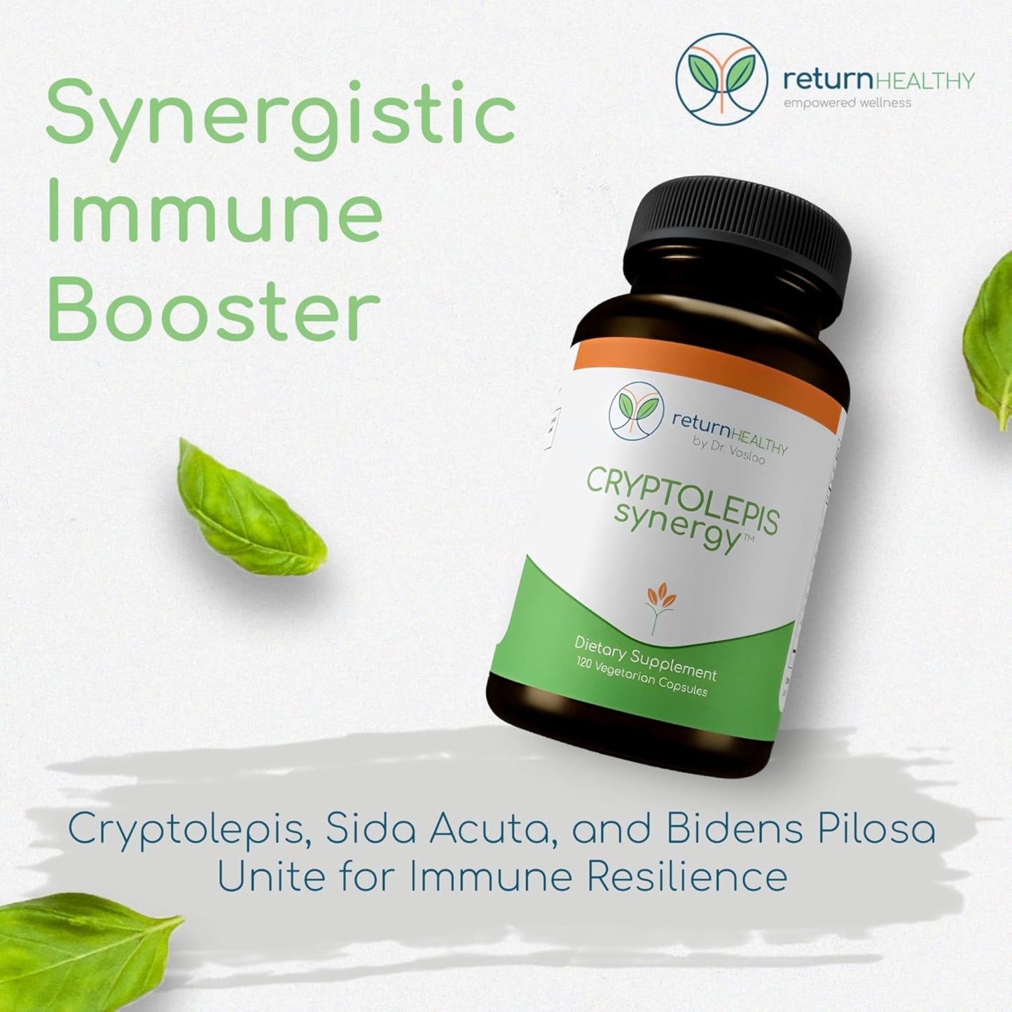 Return Healthy Cryptolepis Synergy Immune Support Vitamins Immune System Booster for Adults, Liver, Lymphatic & Immune Support Supplement Supports Lyme & Natural Parasite Defense, 360 Capsules