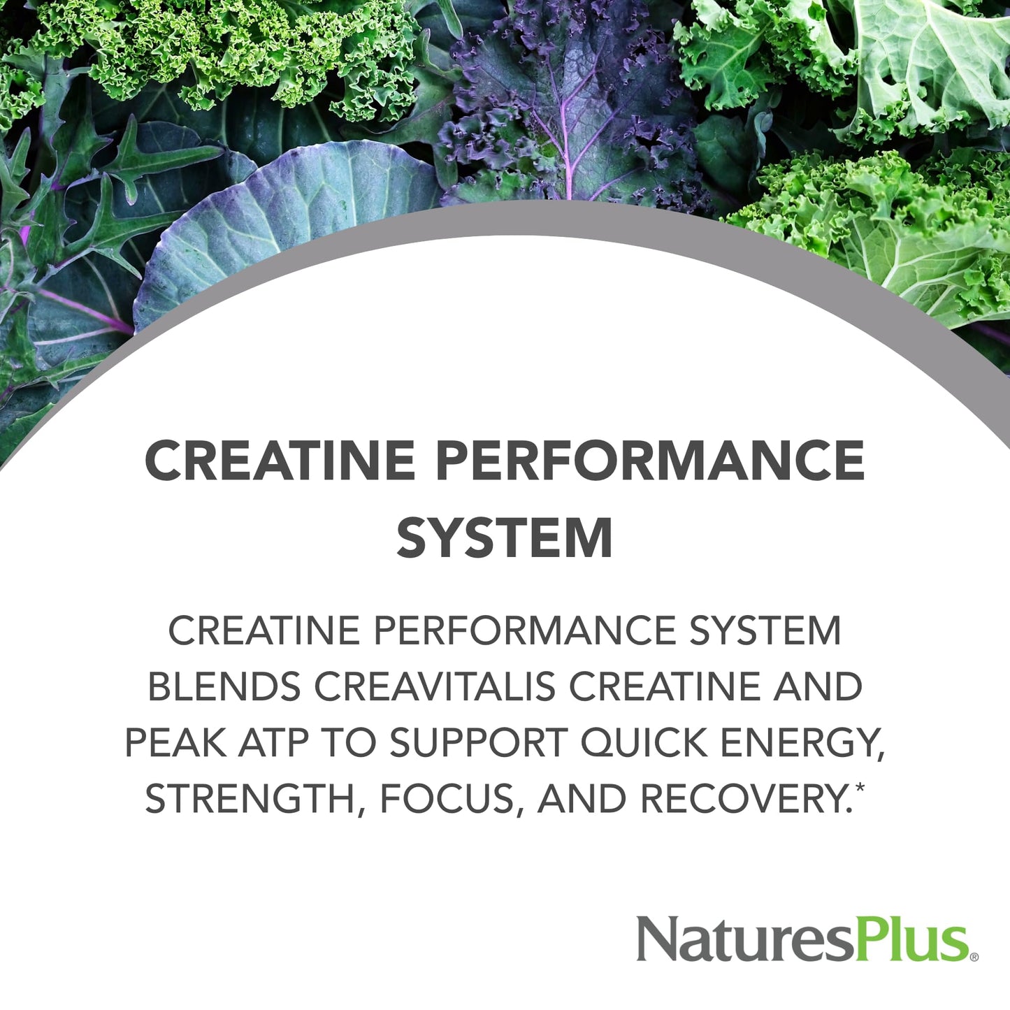 NaturesPlus PRO Creatine Performance System Powder 5.29 Ounce
