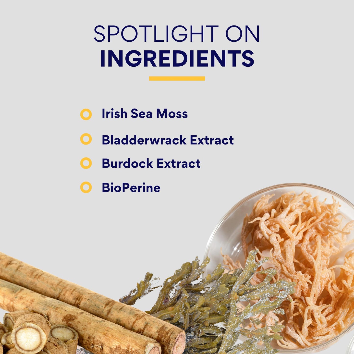 Research Verified Irish Sea Moss with Bladderwrack, Burdock, BioPerine - Rich in Prebiotics - Boost Immunity, Aid Digestion, 360 Capsules
