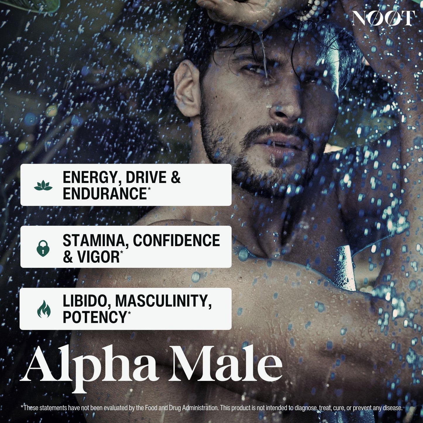NØØT Alpha Male Natural Testosterone & Libido Booster for Men, 60 Capsules