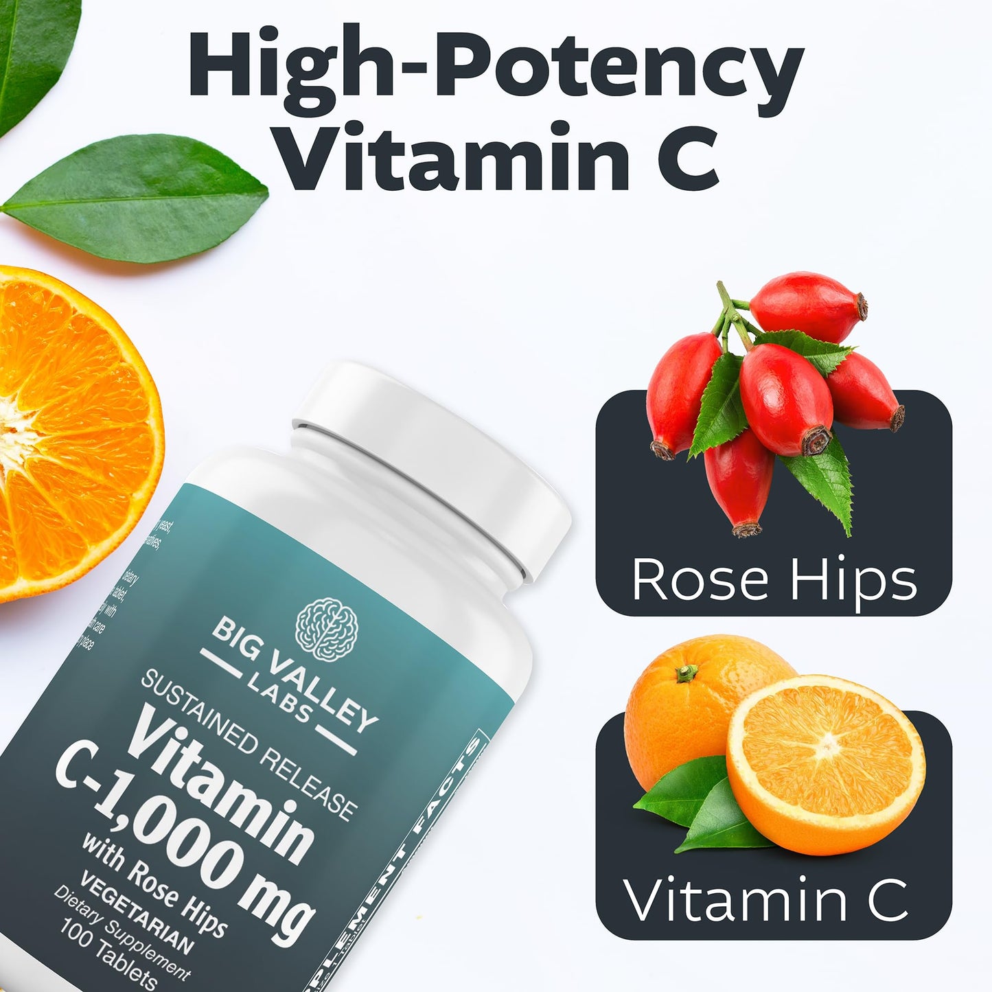 Big Valley Labs Vitamin C 1,000 mg + Bioflavonoids & Rose Hips – Potent Antioxidant Daily Wellness Support, Vegan, Non-GMO, Gluten-Free Capsule, 1 Count