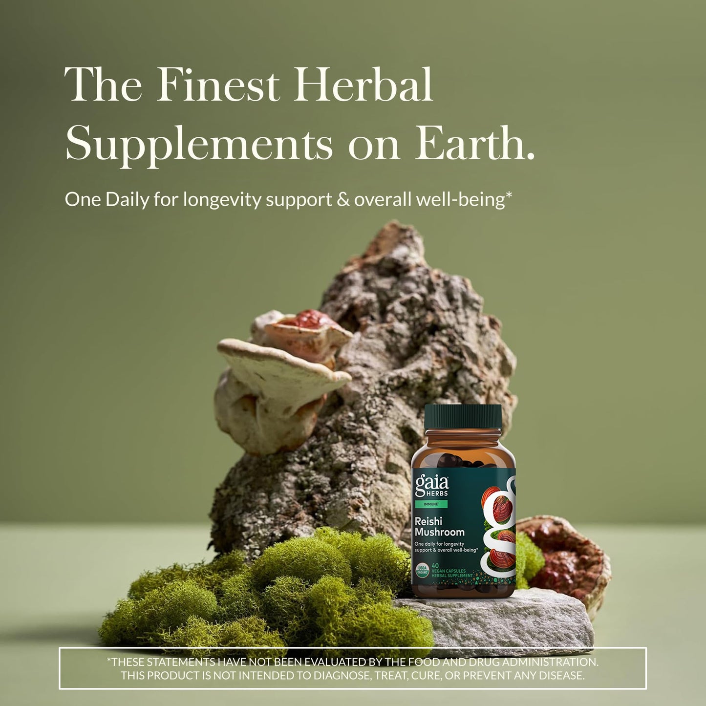 Gaia Herbs Reishi Mushroom Capsules, 40 Count