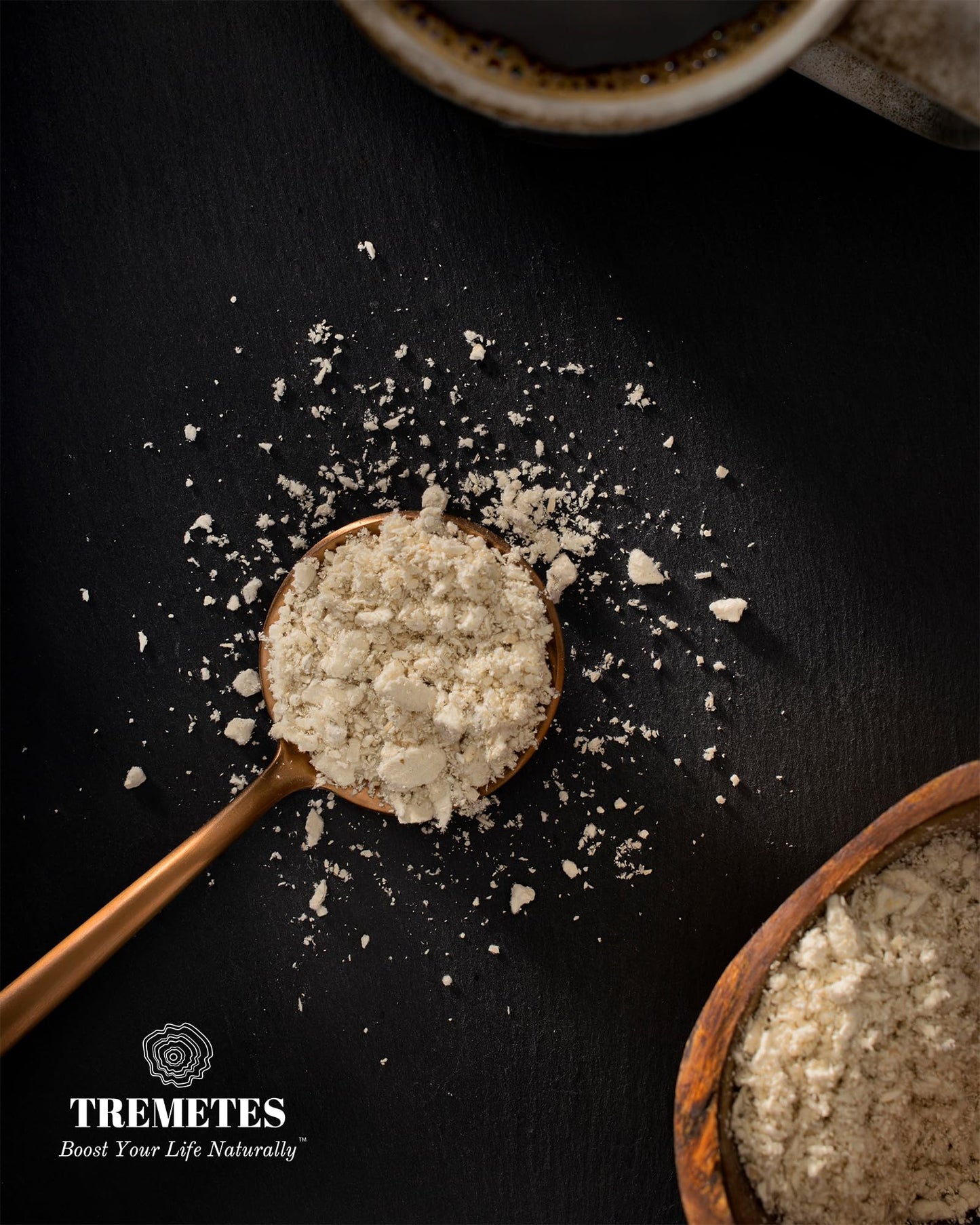 Tremetes Turkey Tail Mushroom Powder 1.1