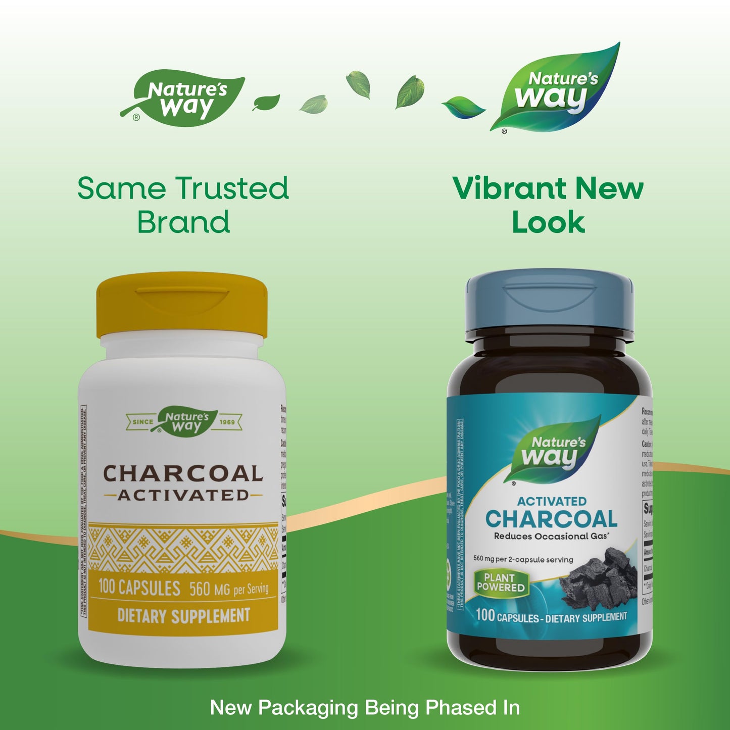 Nature's Way Activated Charcoal Capsules, 200 Count (Pack of 2)