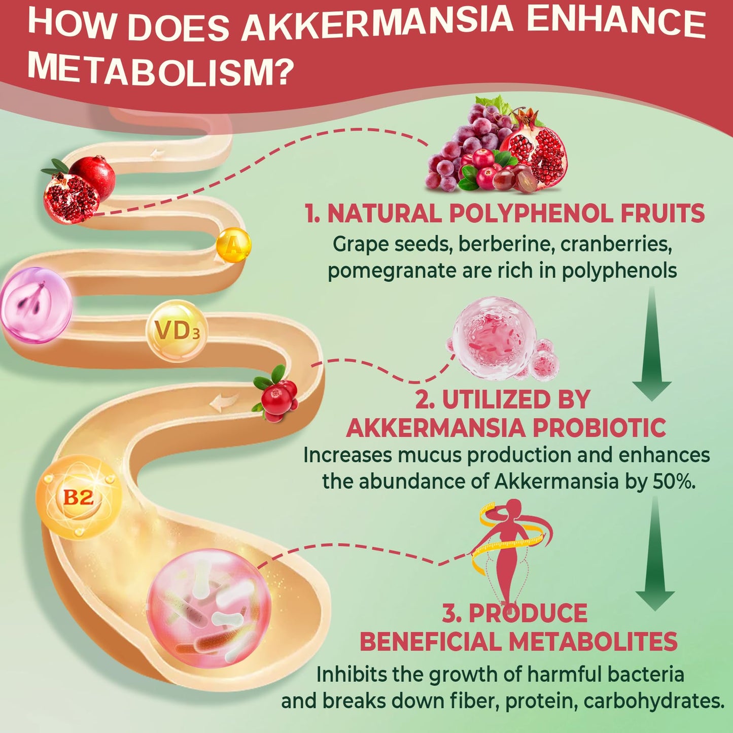 Nextdia Akkermansia Probiotics Gummies with Prebiotics Fiber & Calcium + D3 & Magnesium, 120 Gummies