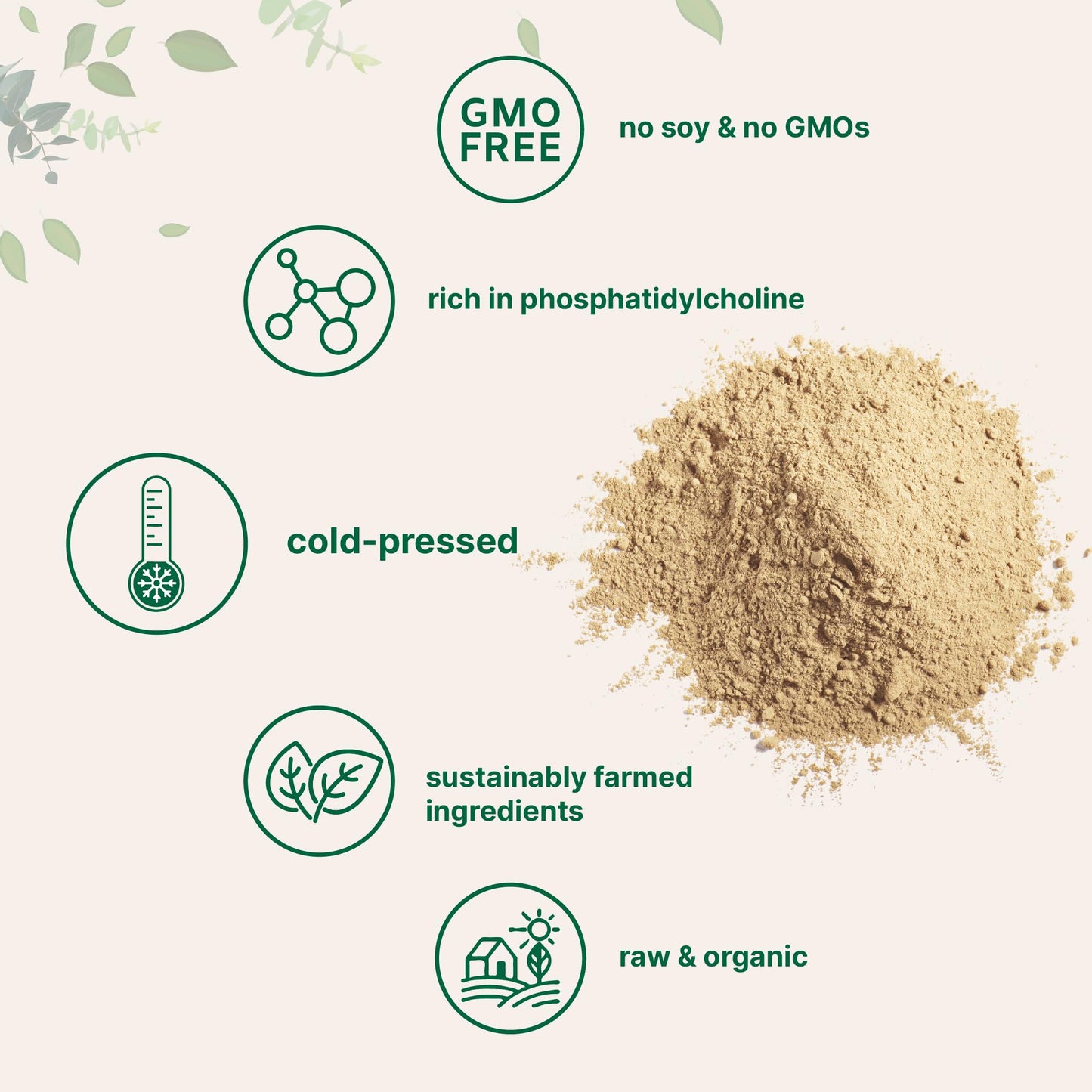 Micro Ingredients Organic Sunflower Lecithin Powder, 16 oz