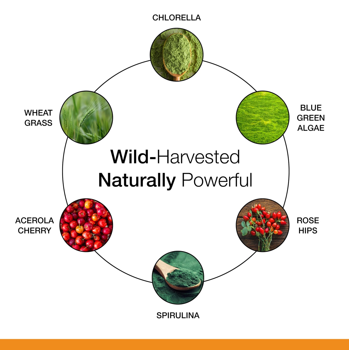 Dr. Schulze's Superfood 100 Capsule 1 Count