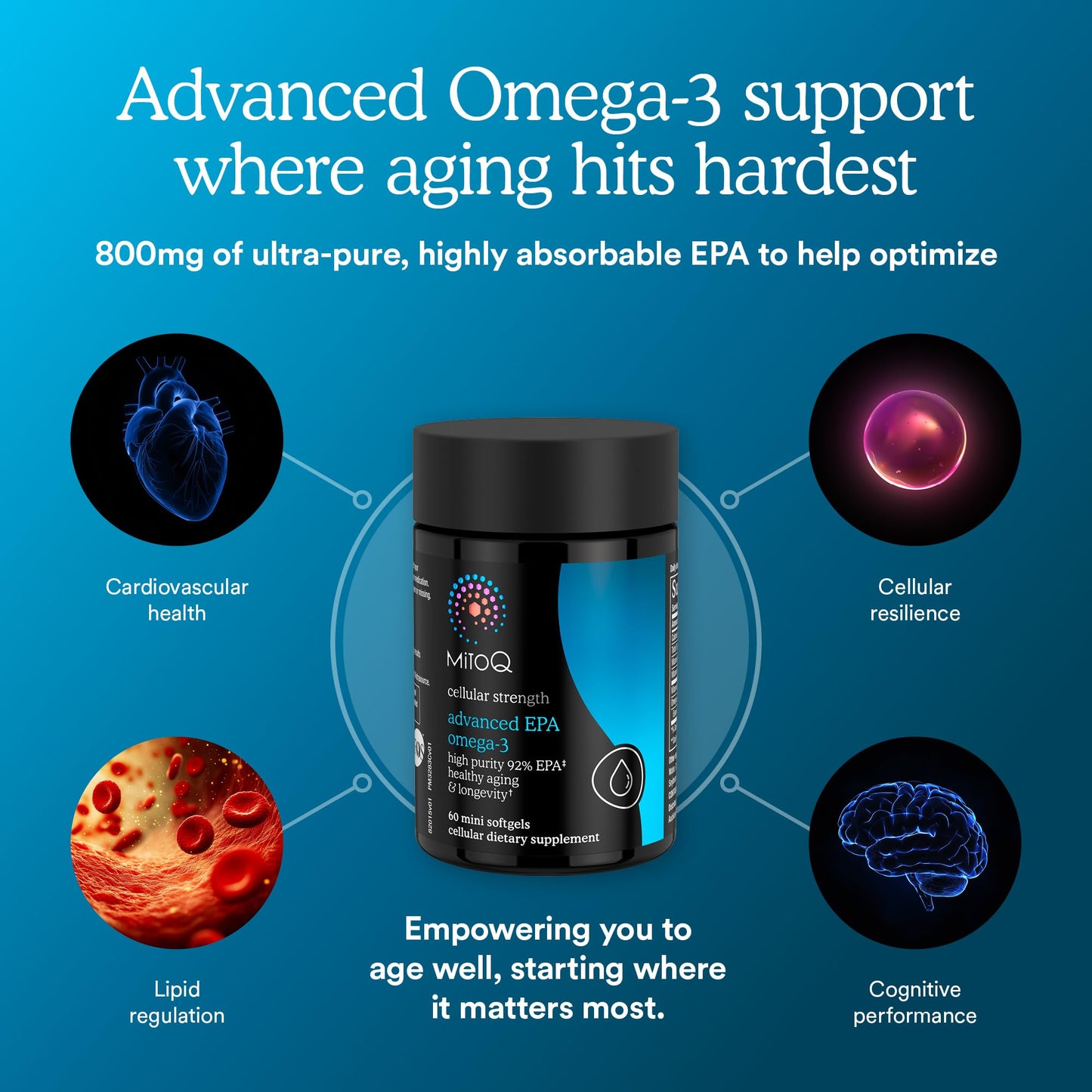 MitoQ Advanced EPA Omega-3 Softgels 60 Count