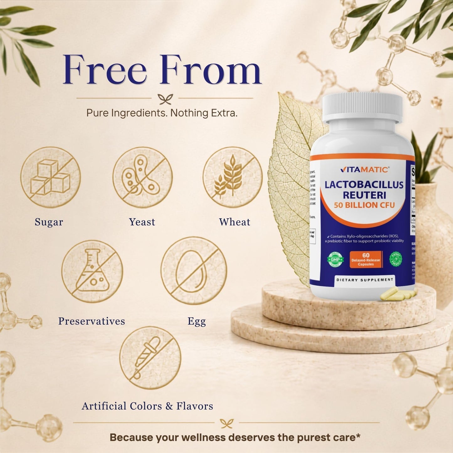 Vitamatic Lactobacillus Reuteri 50 Billion CFU with XOS Prebiotic, Delayed-Release Probiotic Capsules, 60 Count