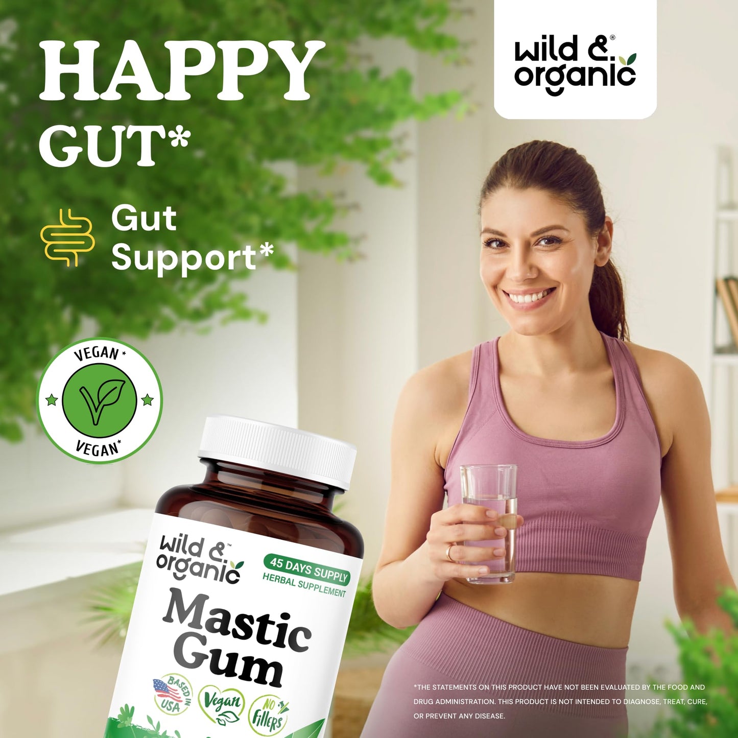 Wild & Organic Mastic Gum Capsules 90 Count