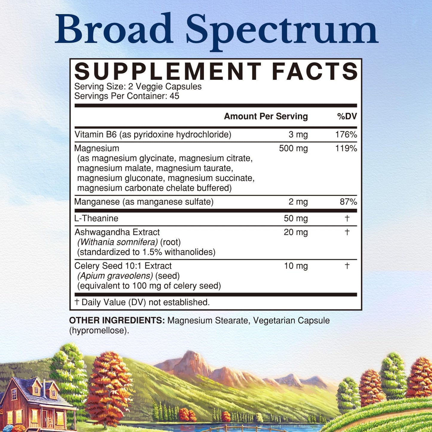 Vitalitown Magnesium Complex Supplement Capsule, 90 Capsules