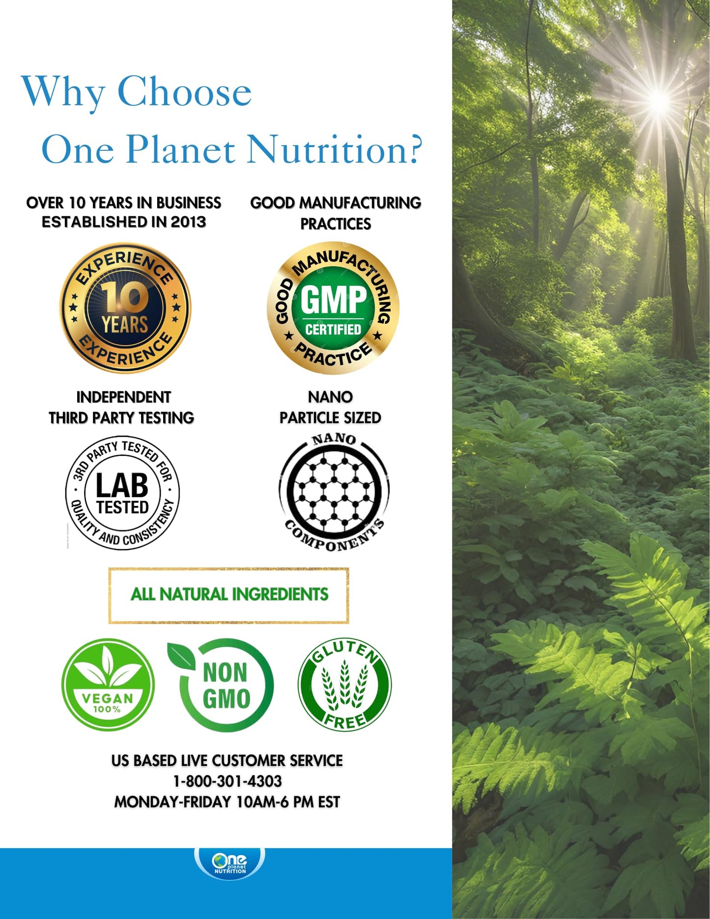 One Planet Nutrition Nano Curcumin Plus 500 mg Veggie Capsules, 240 Count