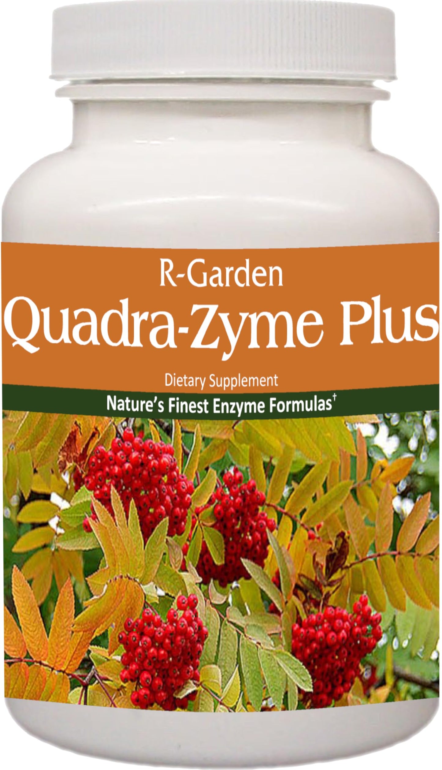 R-Garden Quadra-Zyme Plus Capsules, 180 Capsules