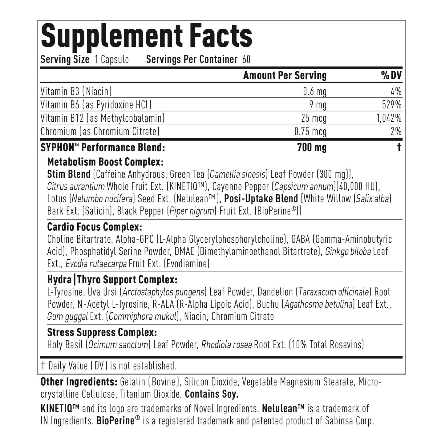 (CORE)ACTIVE Syphon Thermogenic Fat Burner Capsule, 60 Count