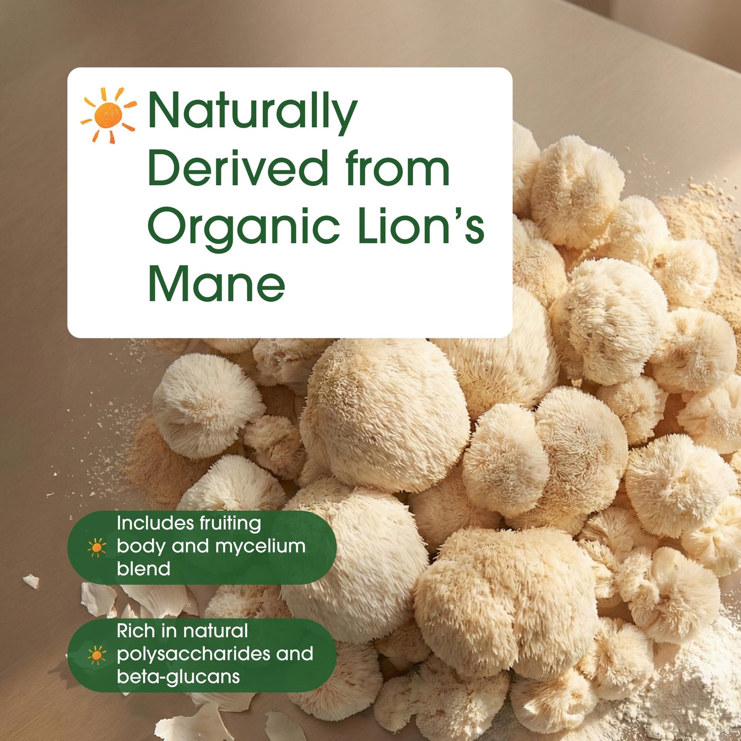NatureBell Organic Lion's Mane Powder 1,500mg, 1 lb, 1 Pack