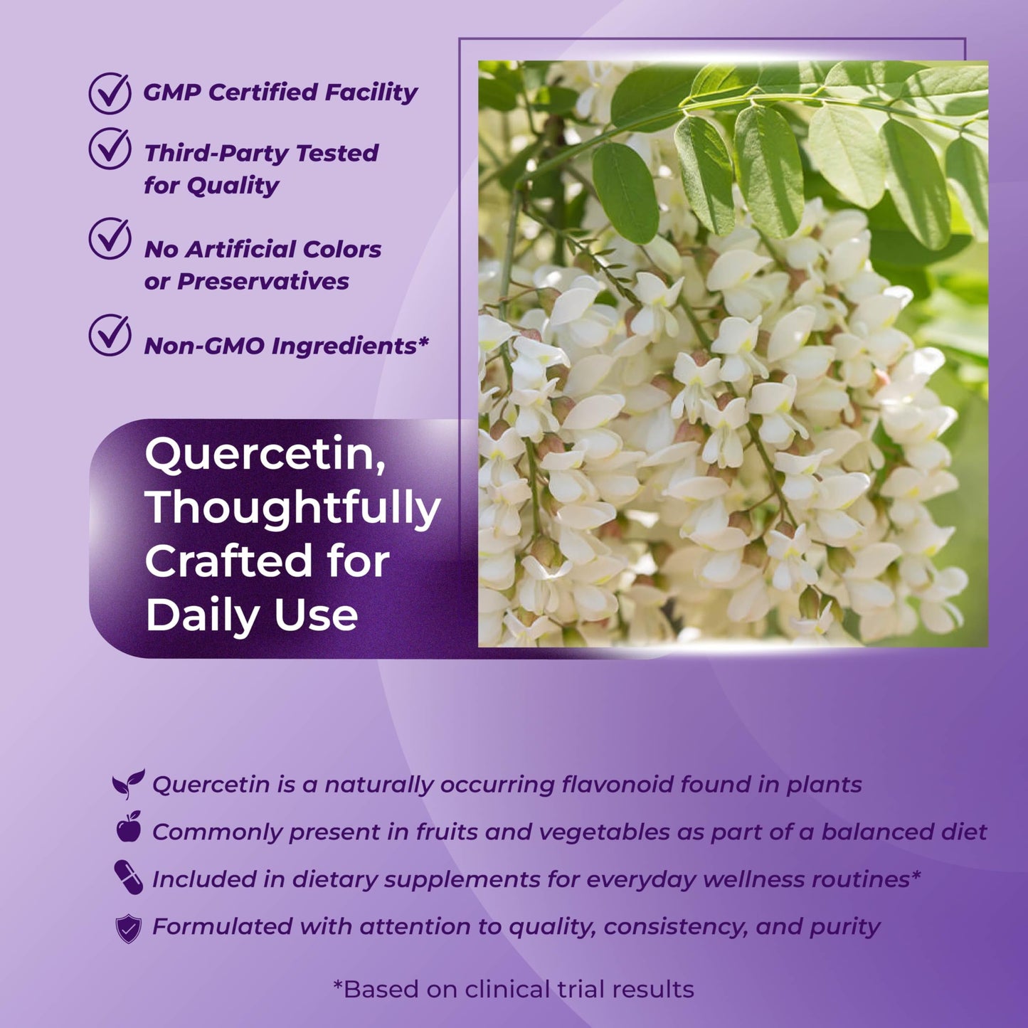 Sotalix Supplement Quercetin 98% High Purity with Bromelain, Zinc, Vitamin D3 2000 IU, Elderberry Capsules 180 Count