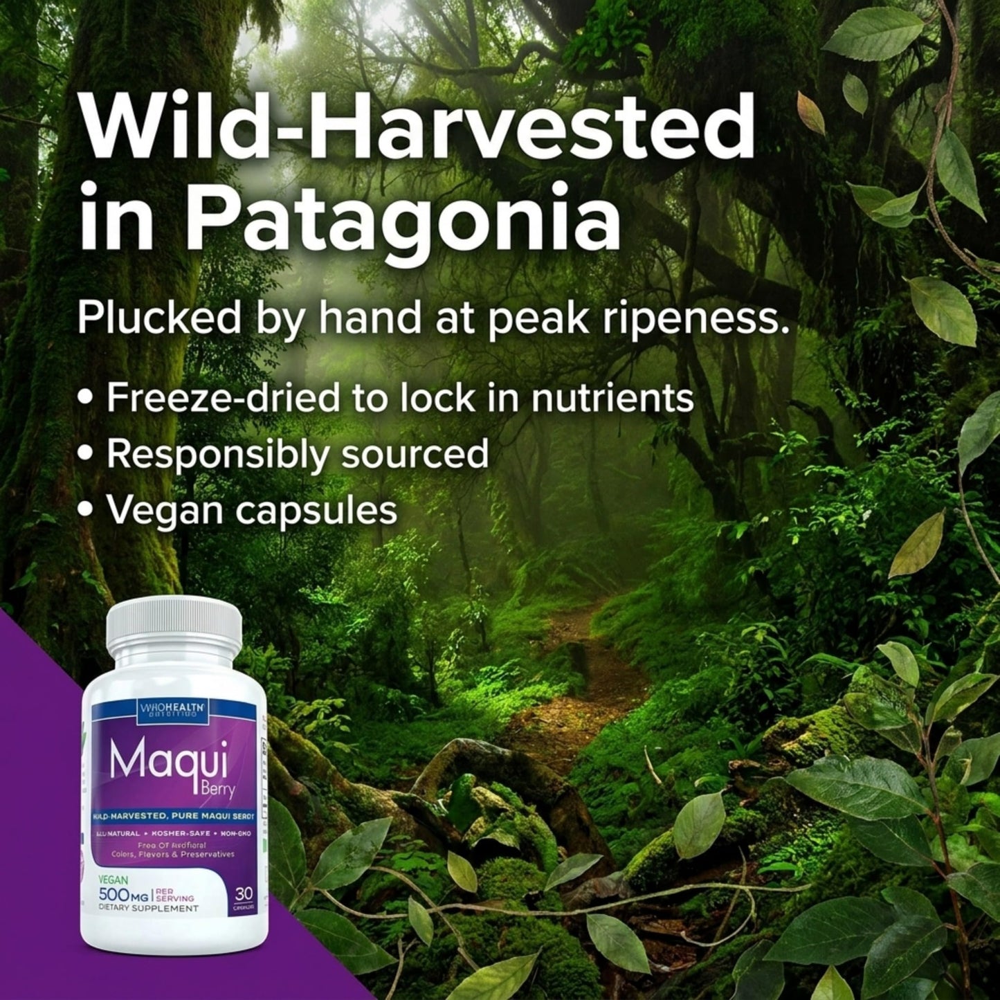 Vivid Health Nutrition Organic Maqui Berry Extract Capsules 30 Count