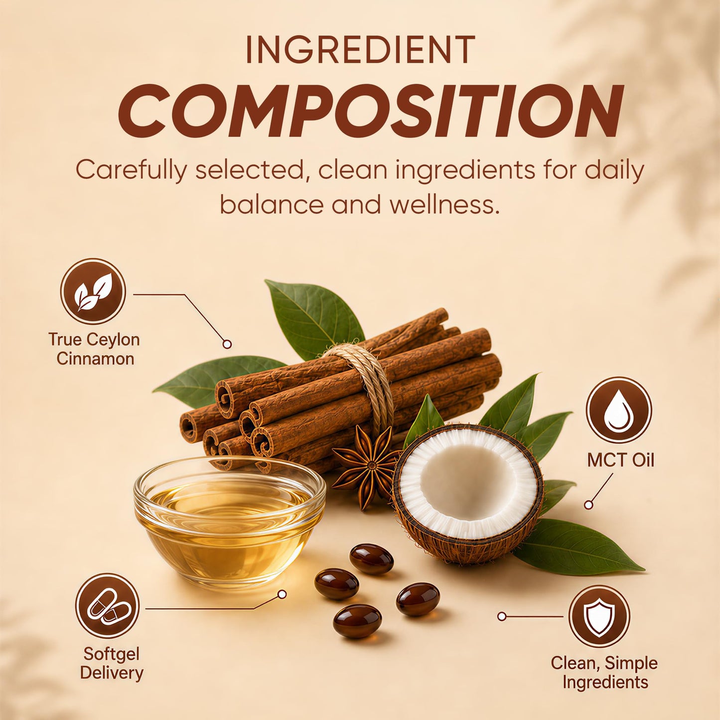 Sun Radiance Ceylon Cinnamon Softgels 600mg with MCT Oil - High Bioavailability Digestive Comfort & Overall Wellness, 300 Softgels