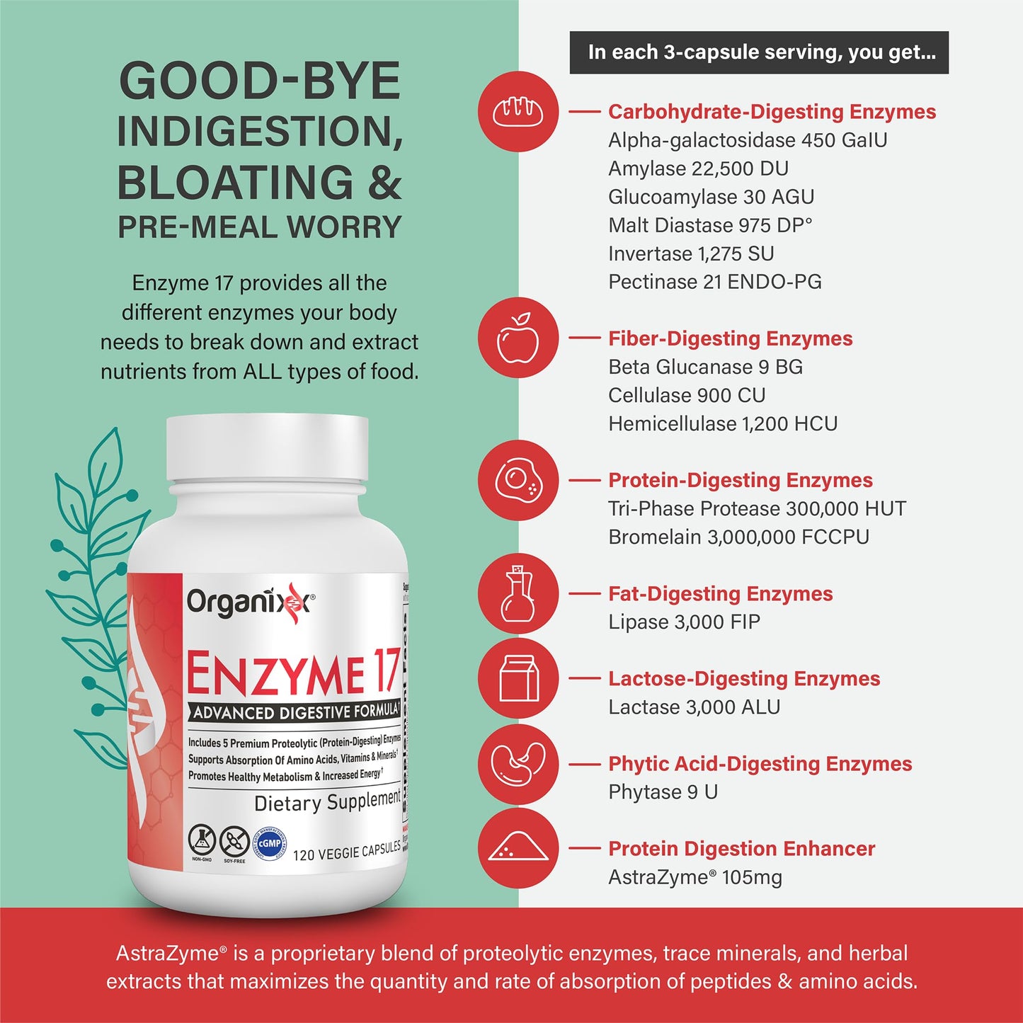 Organixx Enzyme 17 Essential Digestive Enzymes for Women & Men Capsule 120