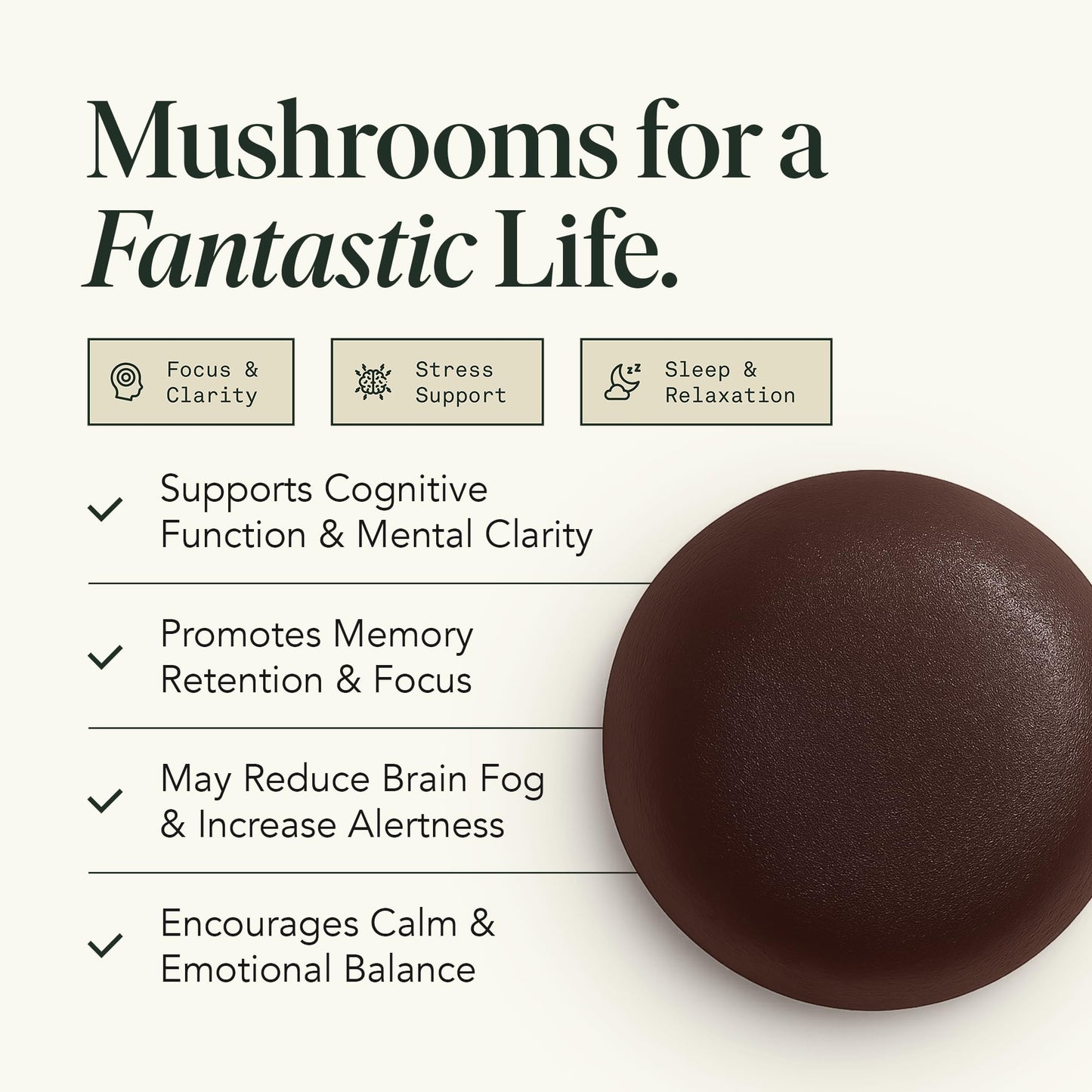 Fantastic Fungi Organic Mushroom Gummies for Focus & Memory, Lions Mane, Choline & Ashwagandha Gummies for Adults, 60 Gummies