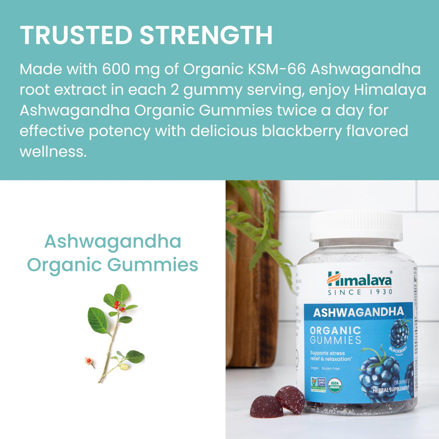Himalaya Ashwagandha Organic Gummies, 60 Gummies