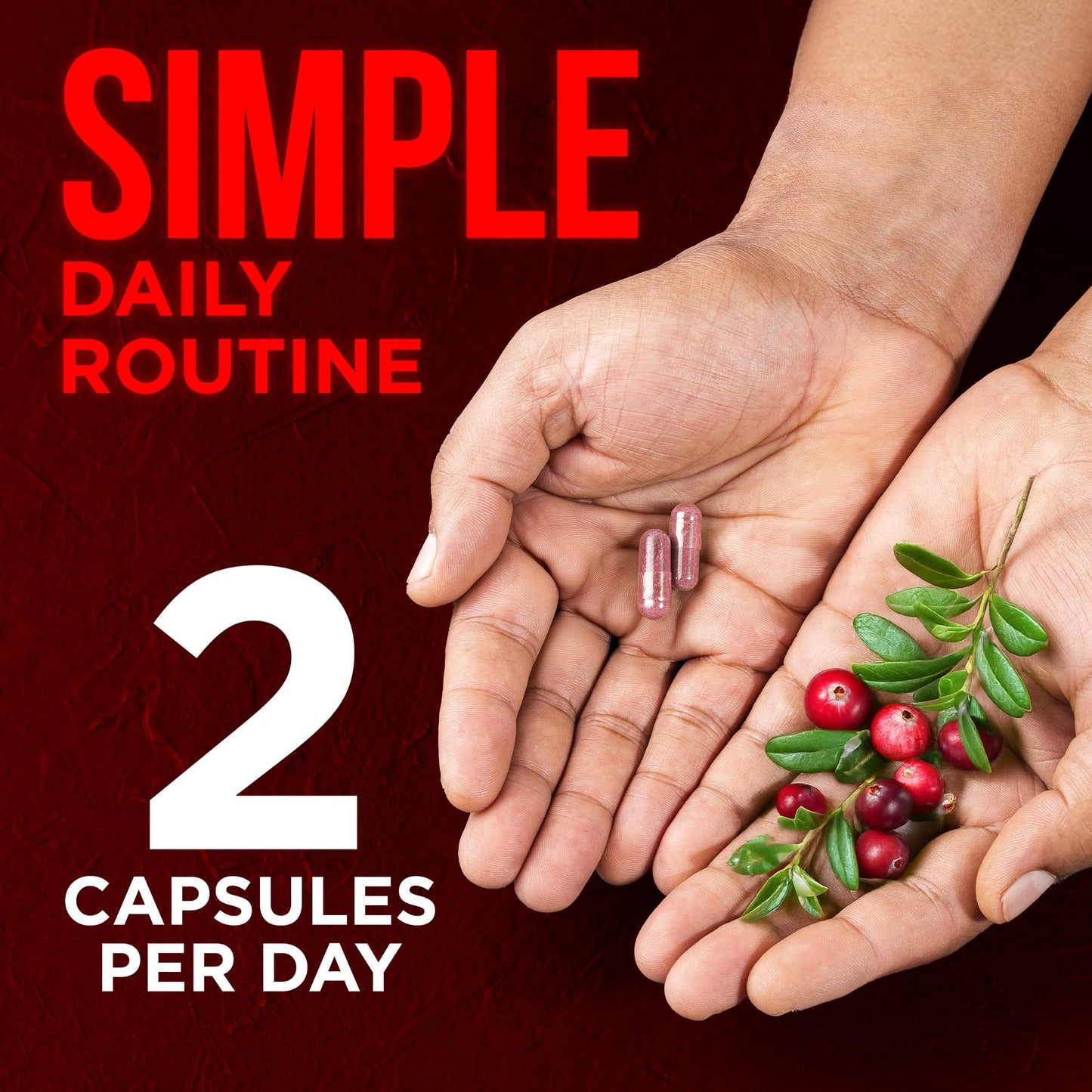 OmniBiotics USDA Organic Cranberry Pills for Women High Potency 25,000 mg Supplement with 25:1 Fruit Extract Daily Urinary Tract Support Capsules 120 Count