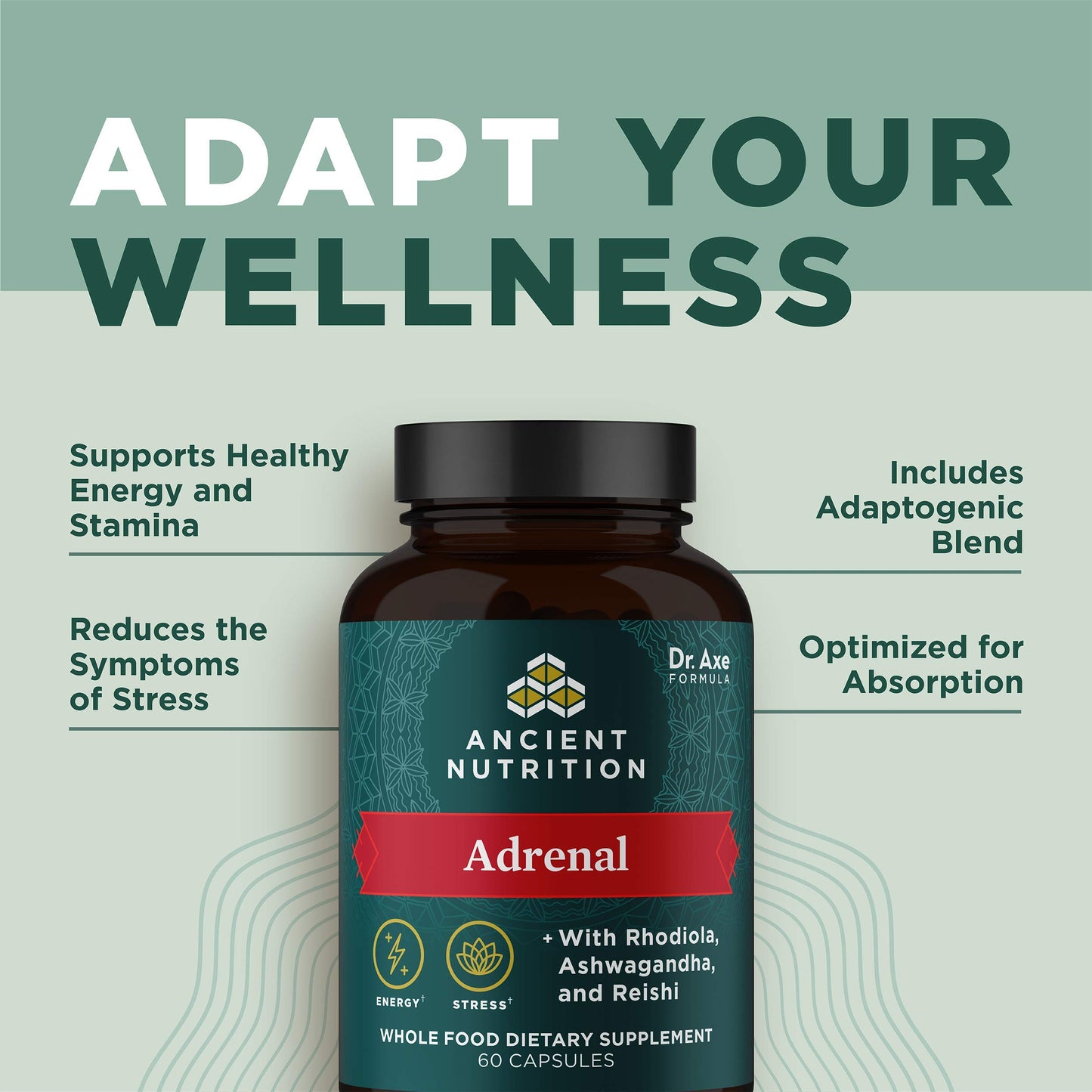 Ancient Nutrition Adrenal Capsules, 60 Count