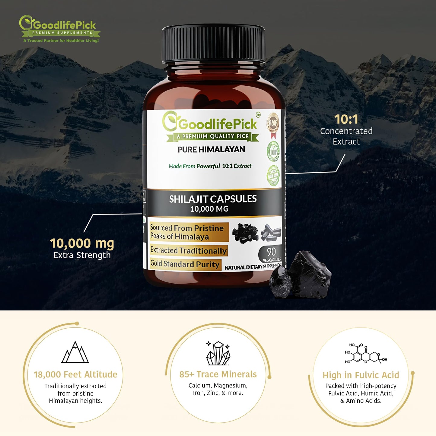 GoodlifePick Pure Himalayan Shilajit Capsules, 90 Count