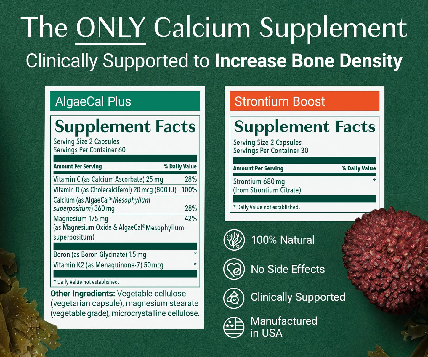 ALGAECAL Ultimate Bone Bundle - D3 Complete (1000 IU) + K2, Vitamin E, Vitamin A & Plant-Based Calcium for Increased Bone Density & Omega-3 Fish Oil with 1200mg EPA/DHA Softgel, Capsule, Liquid Emulsion