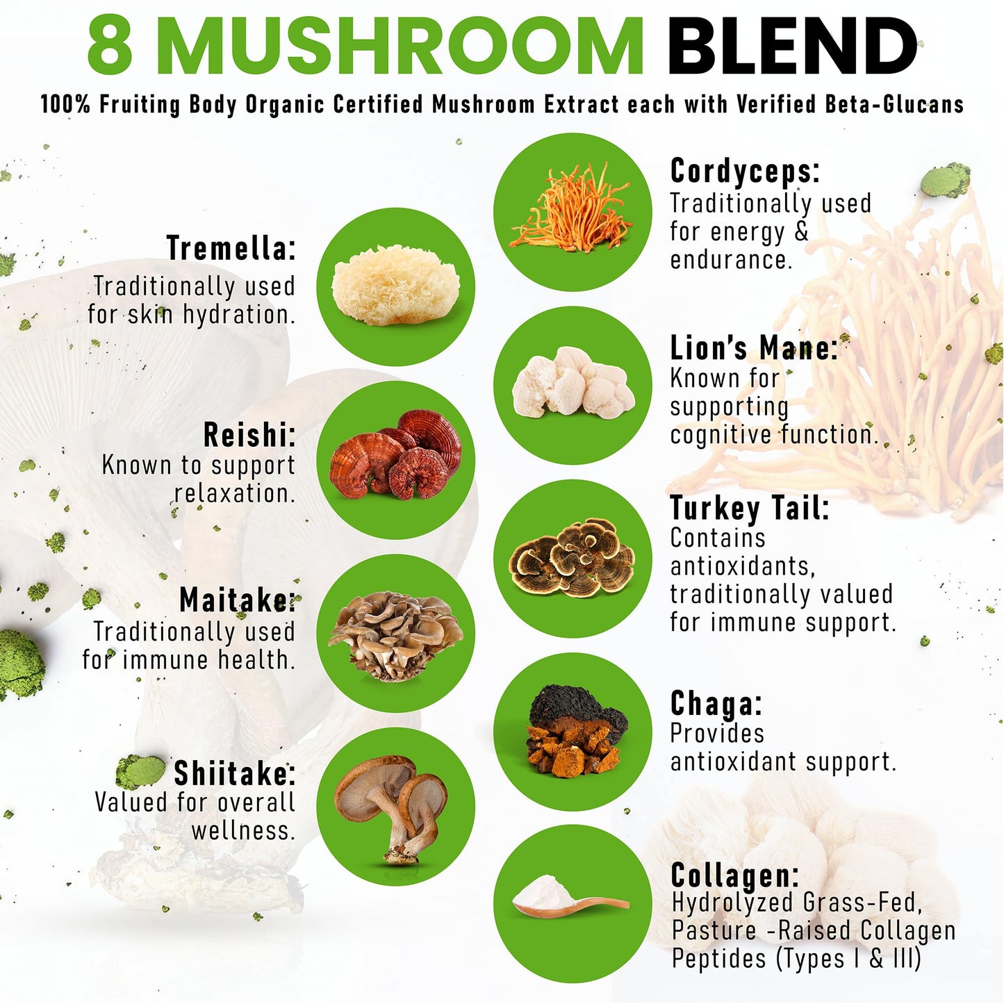 PowderVitamin Organic Ceremonial Mushroom Matcha Collagen Types I & III Powder 8.5 oz