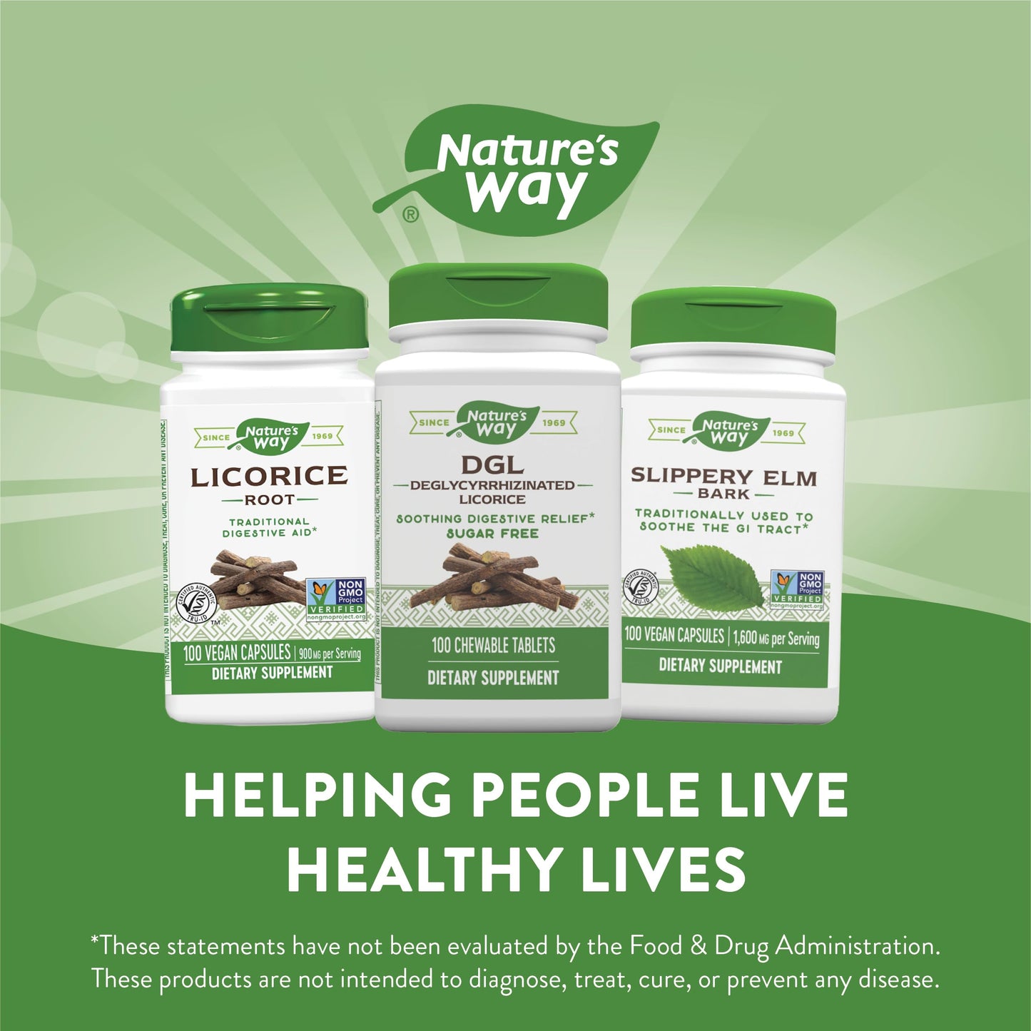 Nature's Way DGL Chewables 100 Count