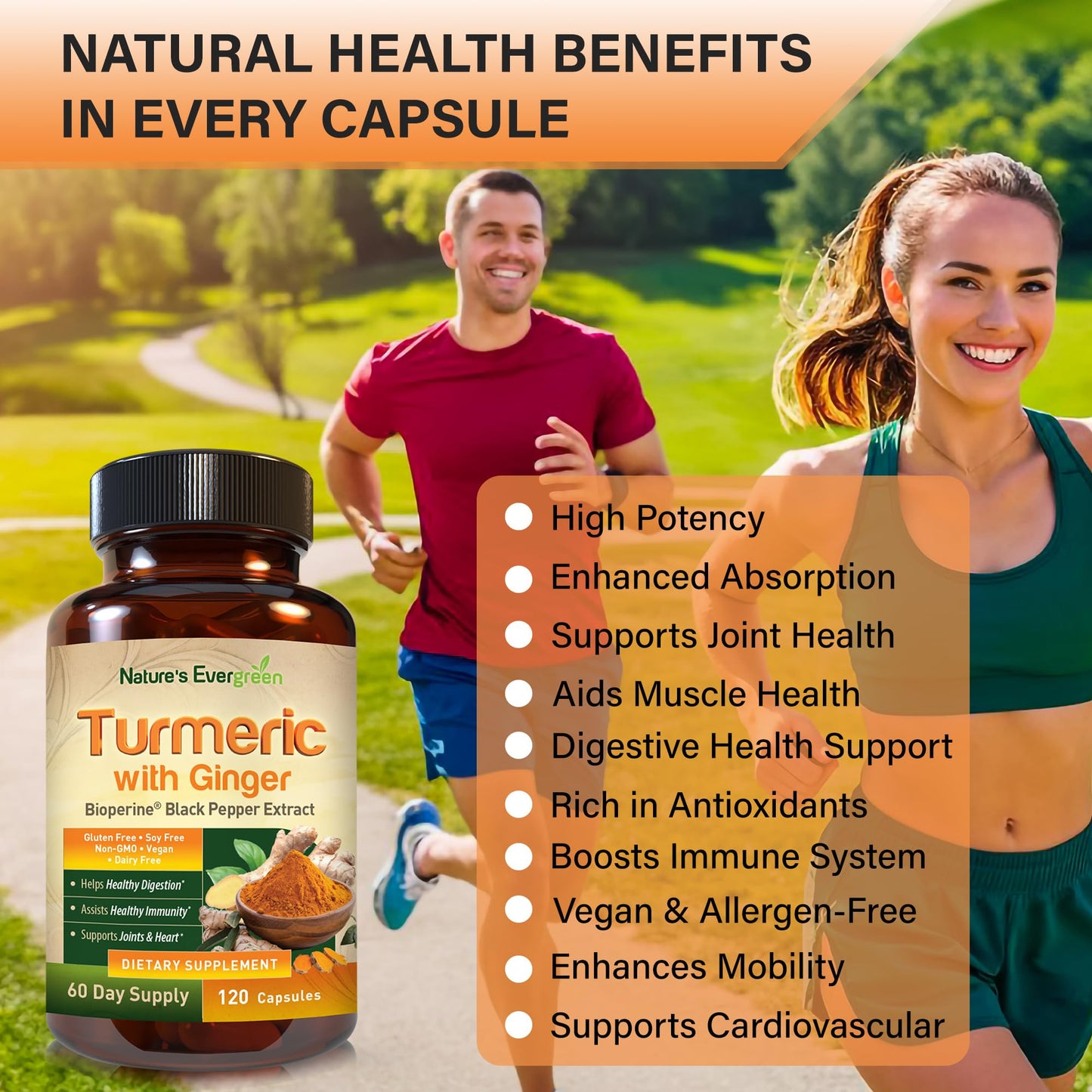 Nature's Evergreen Turmeric with Ginger Root Joint Support Supplement Capsule, 1 Count