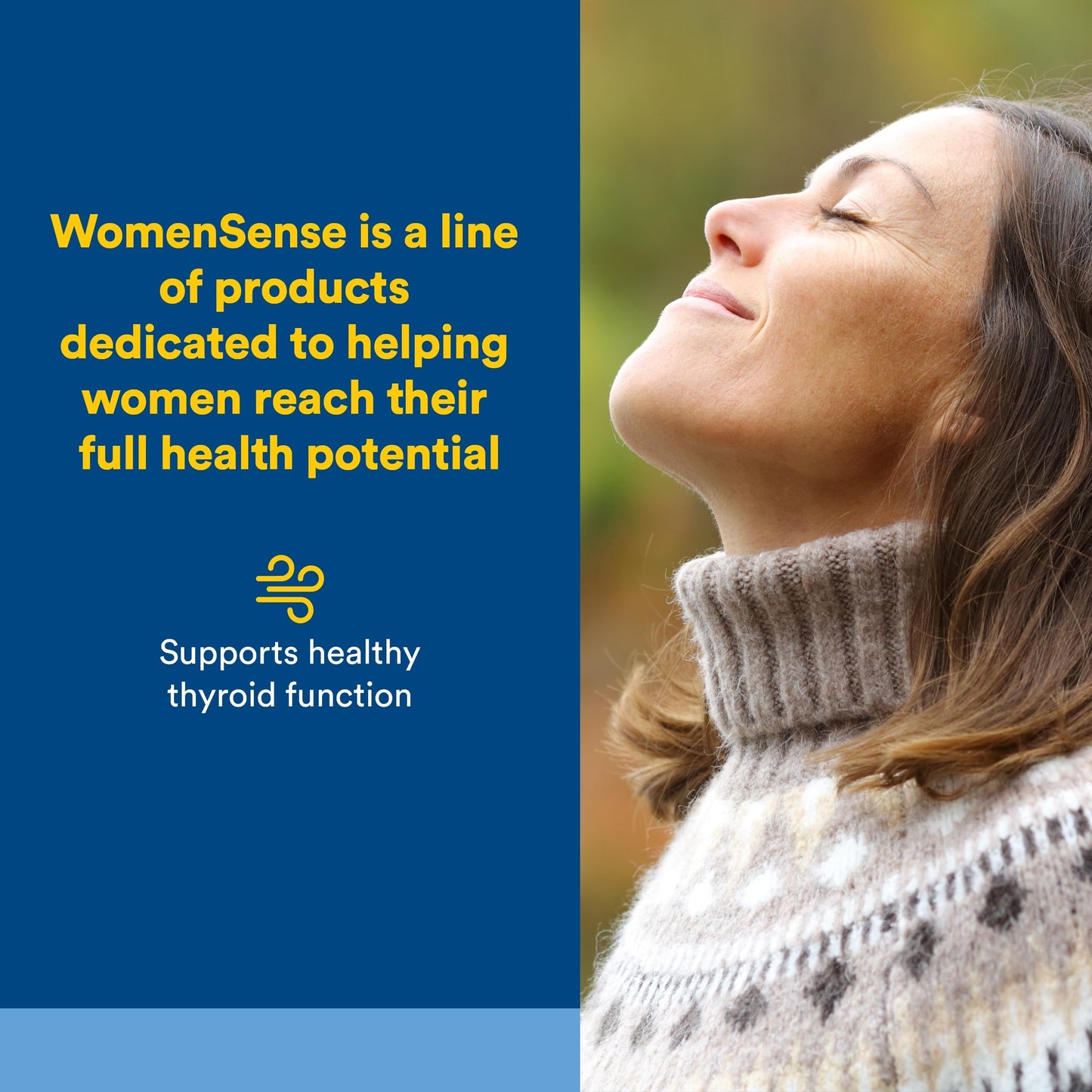 Natural Factors ThyroSense 120 Capsules