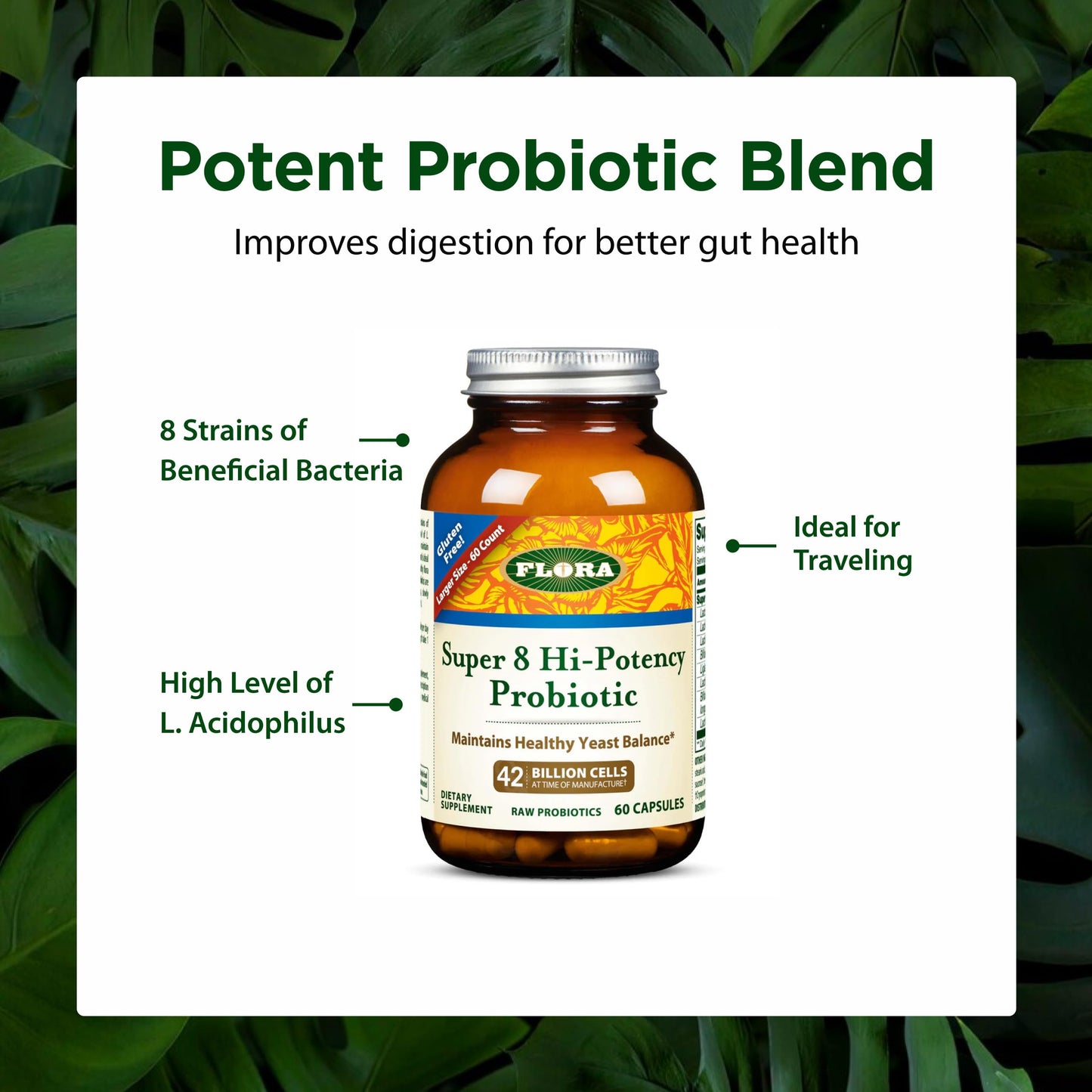 Flora FloraHealth Super 8 Hi-Potency Probiotic Capsules, 60 Count