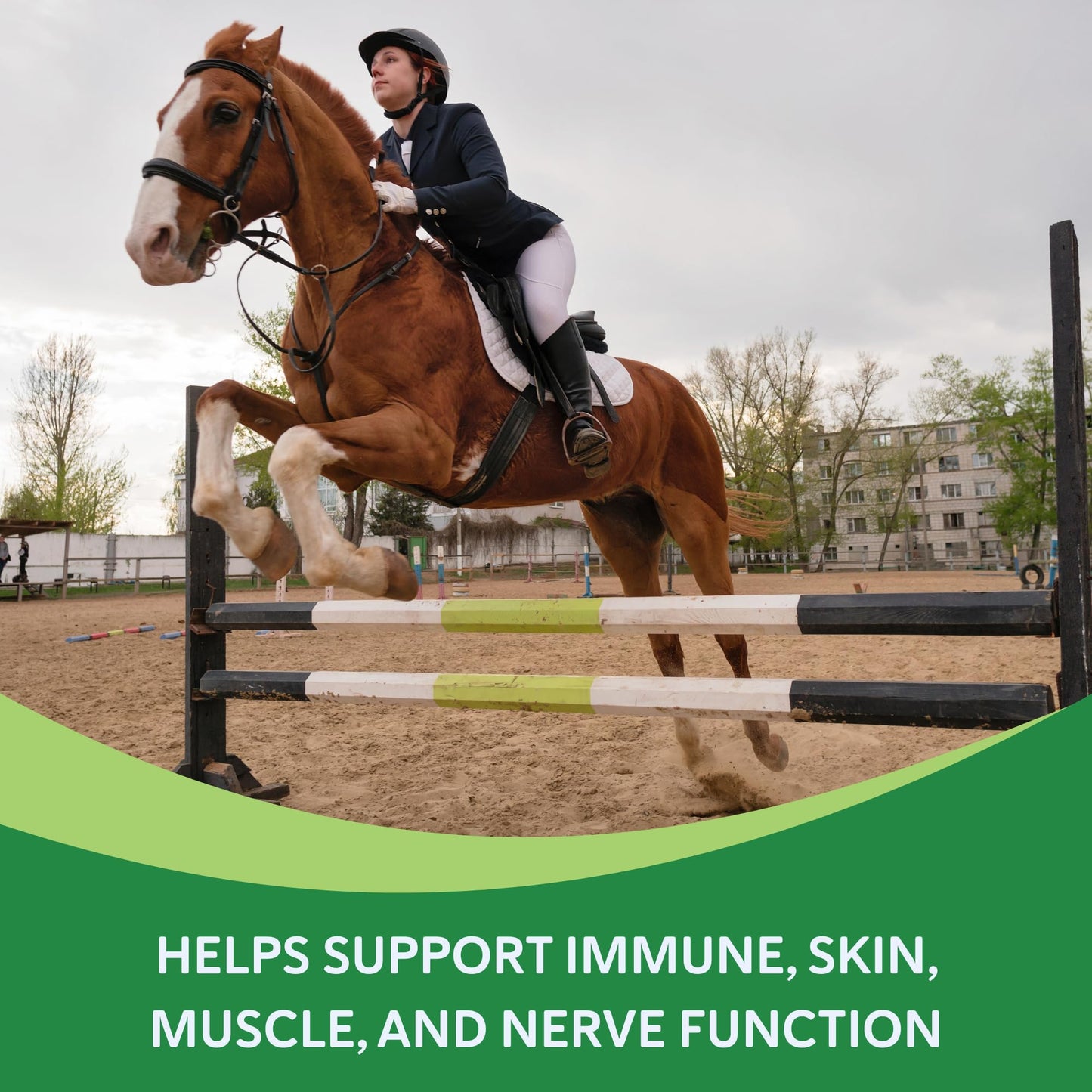 Health-E Vitamin E Supplement for Horses Powder 60 Servings