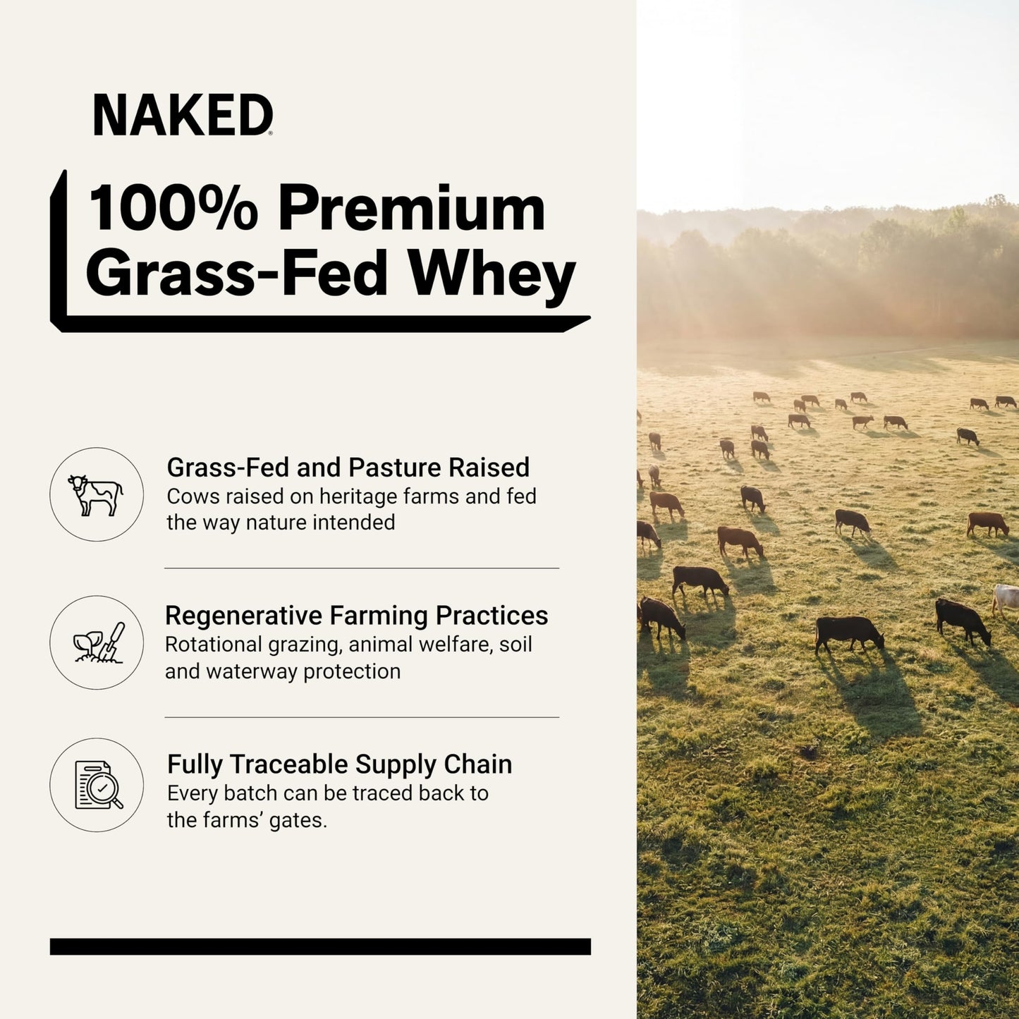 NAKED Whey Protein Powder 32