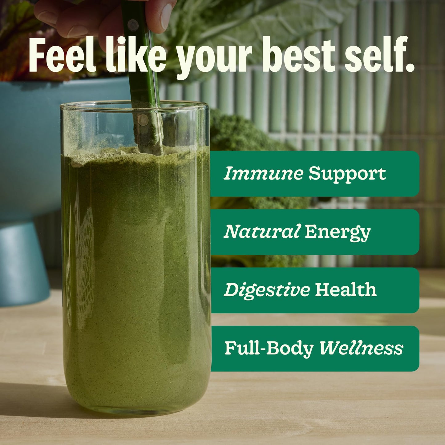 Suja Organic Greens Probiotic Powder Spirulina 12.7 oz