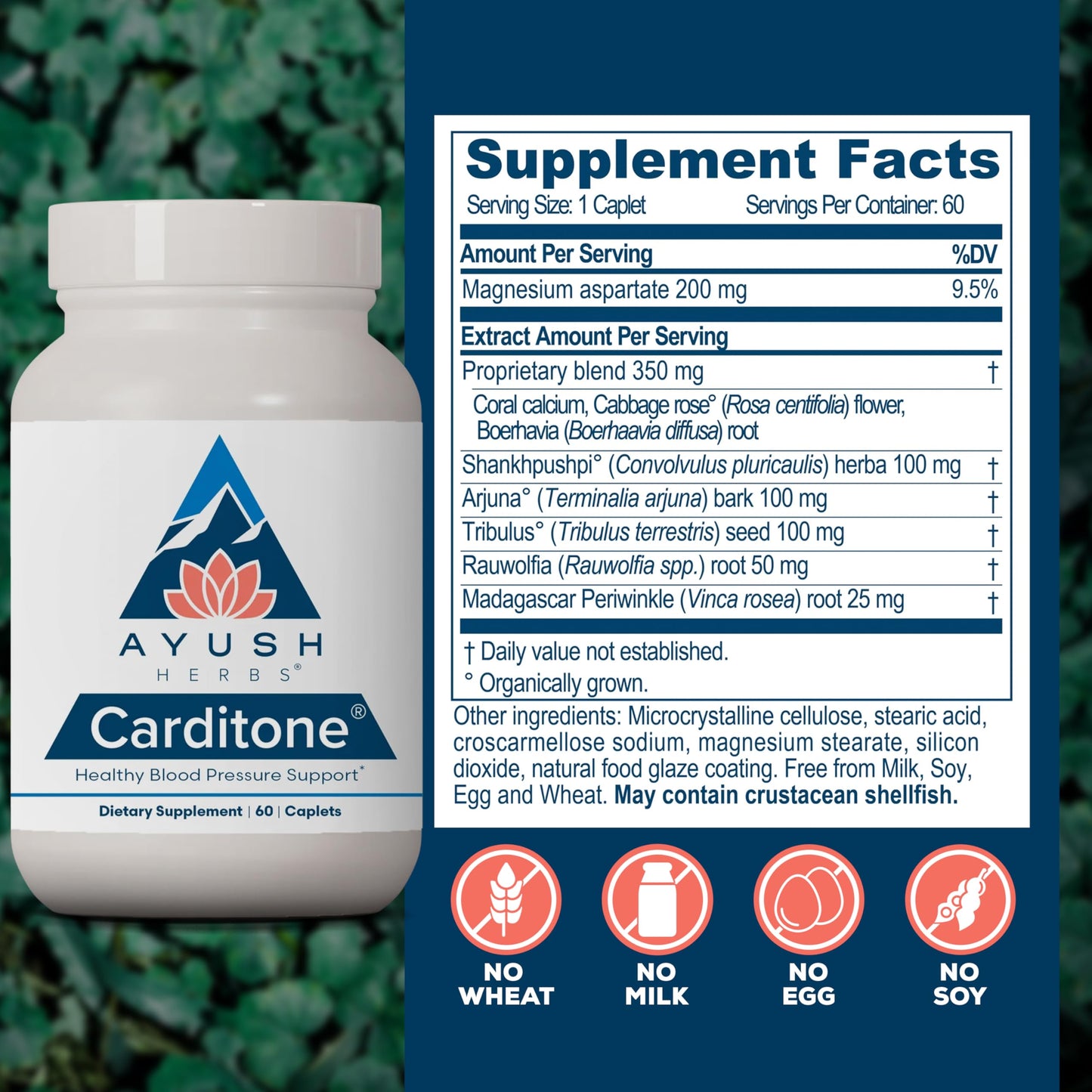 Ayush Herbs Carditone 120 Capsules