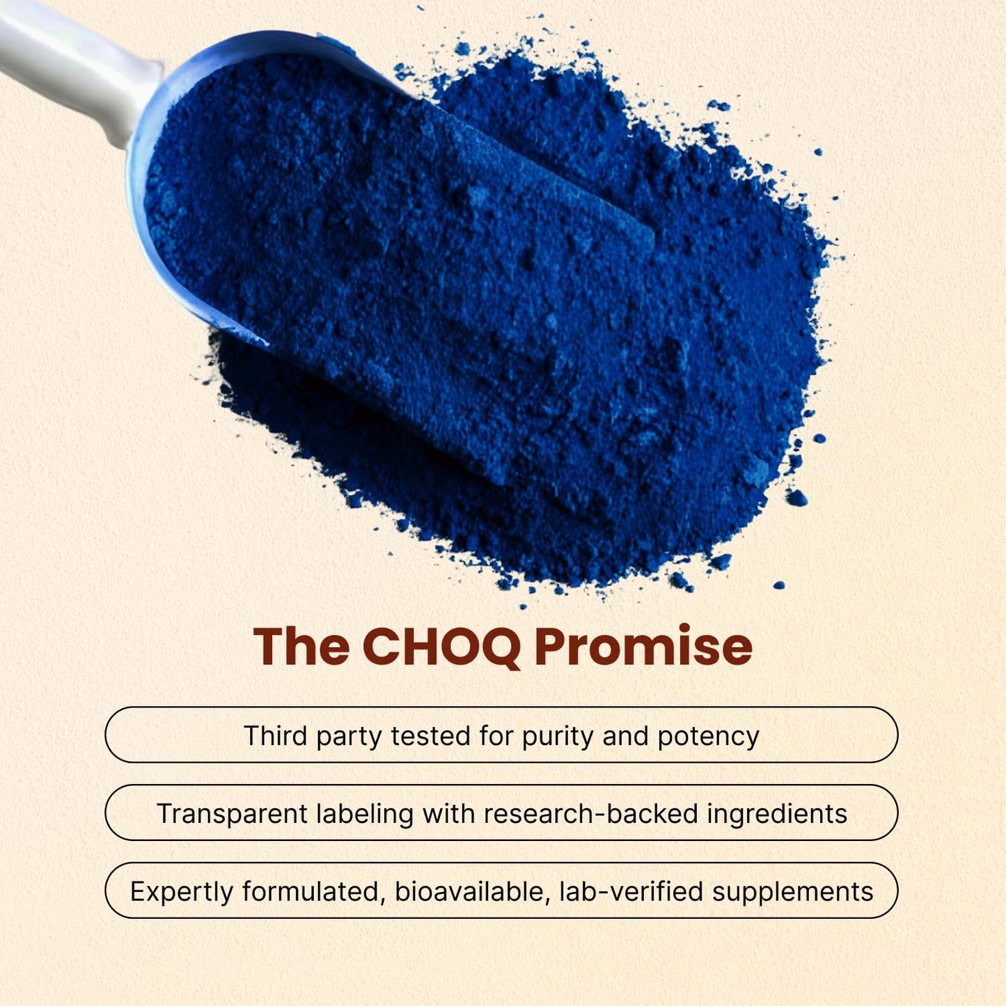 CHOQ Chad Mode Pre Workout Powder, 8.8 Ounce