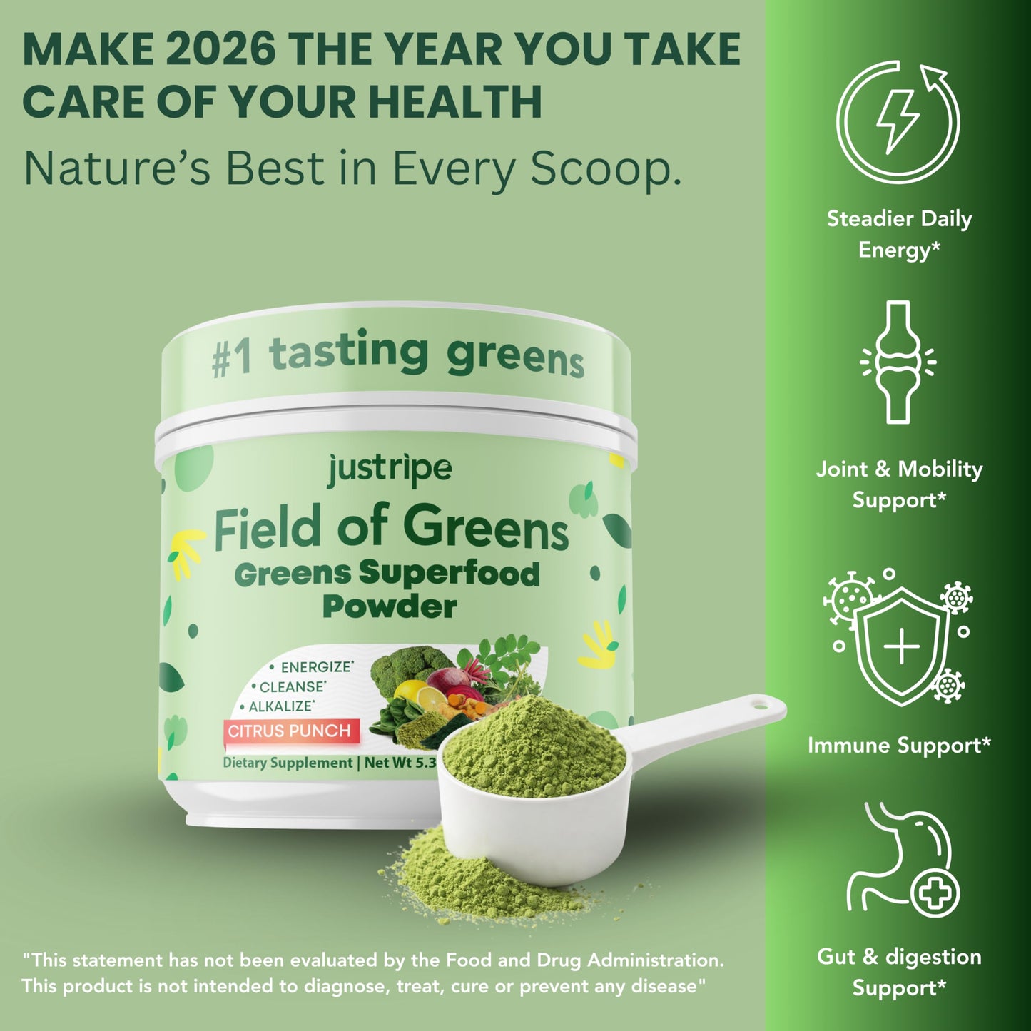 Just Ripe Nutrition Field of Greens Superfood Powder with Organic Spirulina, Chlorella, Beet Root Powder, Bacillus Coagulans Probiotic, Plant-Based Gut Health and Immunity Support, 5.3 Ounces
