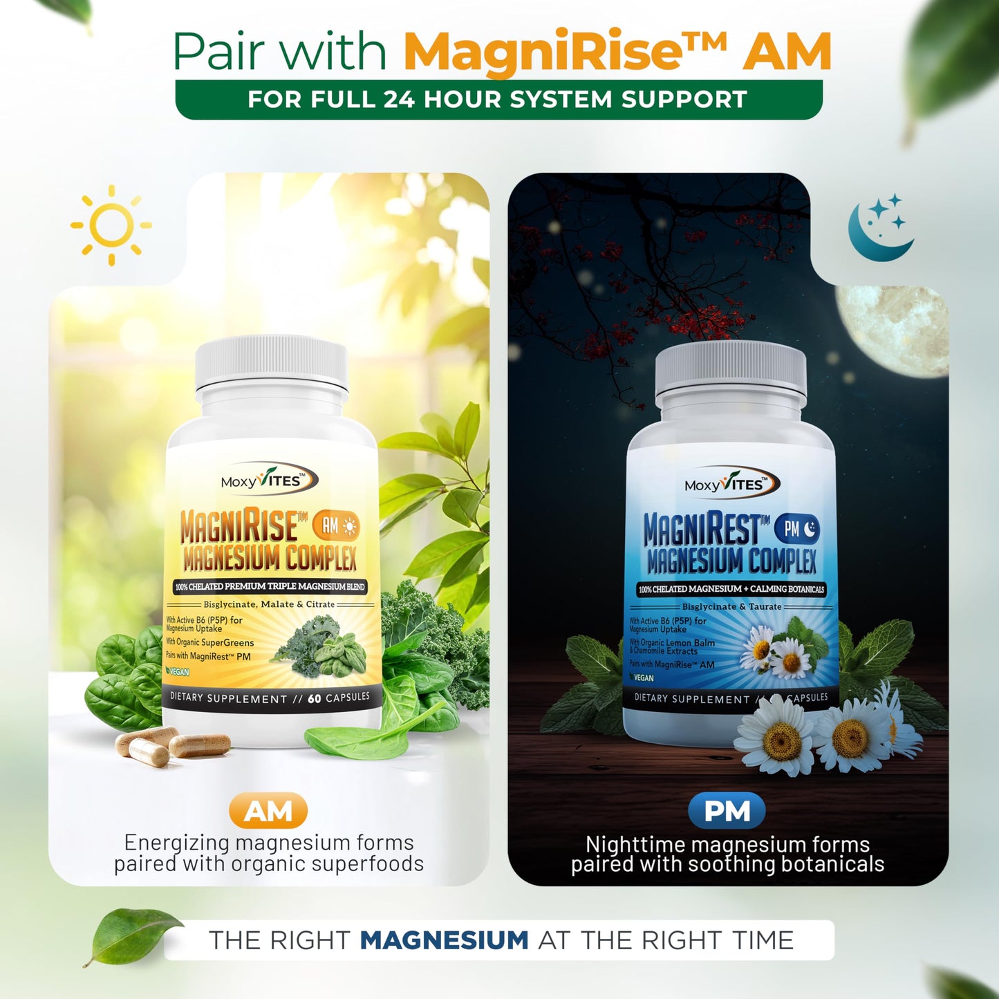 MoxyVites MagniRest PM Magnesium Complex for Women & Men 60 Capsules