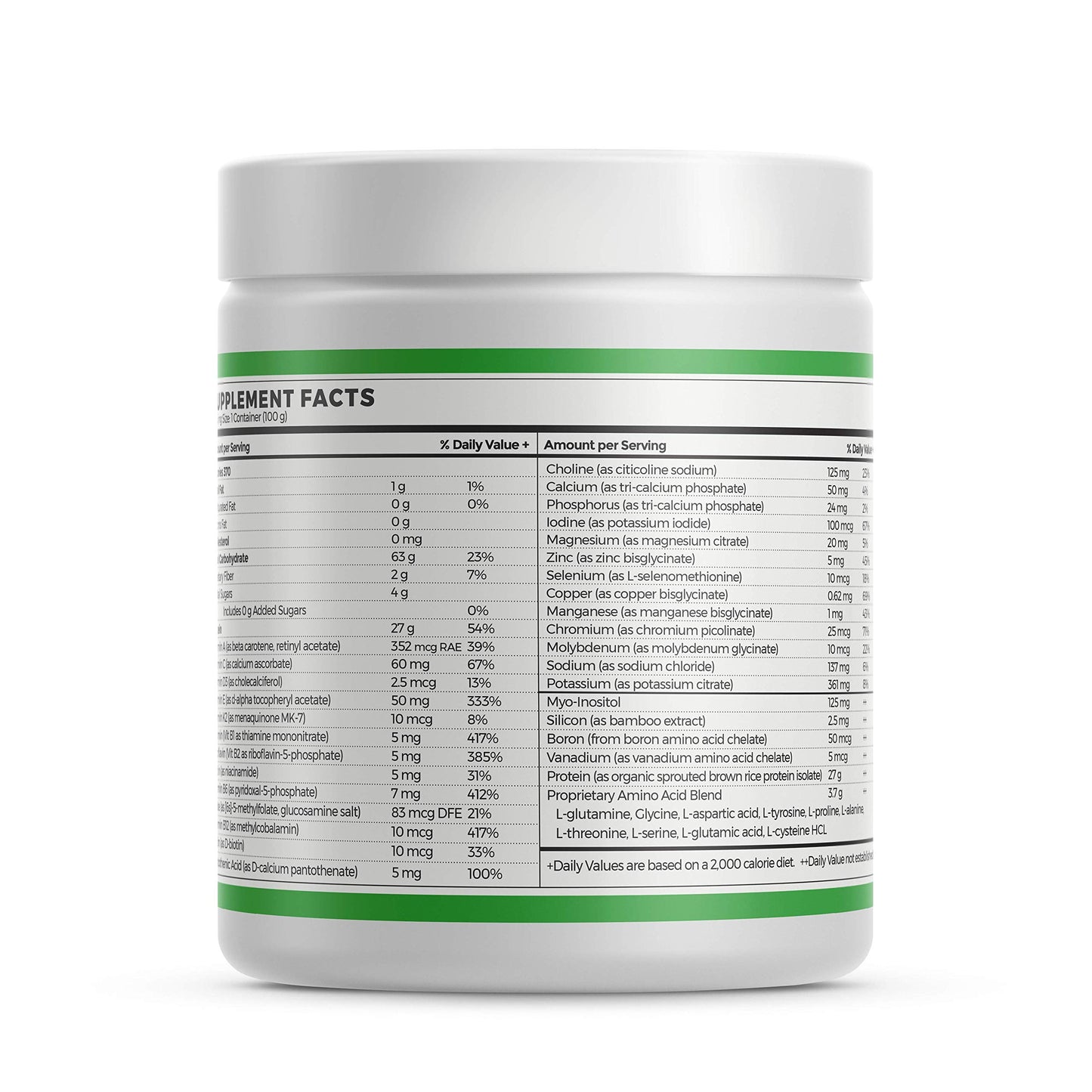 Absorb Plus Vegan Isolate Protein Organic Sprouted Rice Protein Powder, 3.53 Ounce