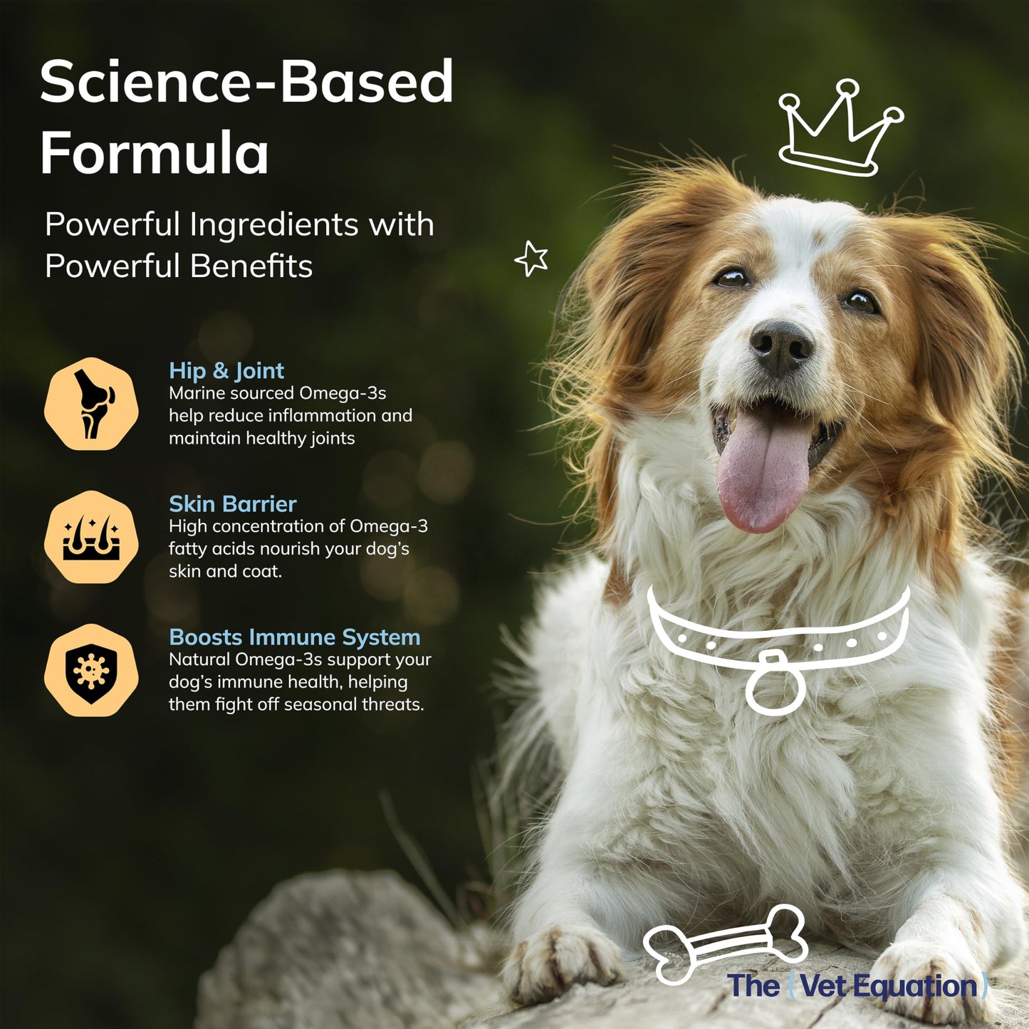 The Vet Equation Omega Multifunctional for Dogs Duck-Flavored Soft Chew 1