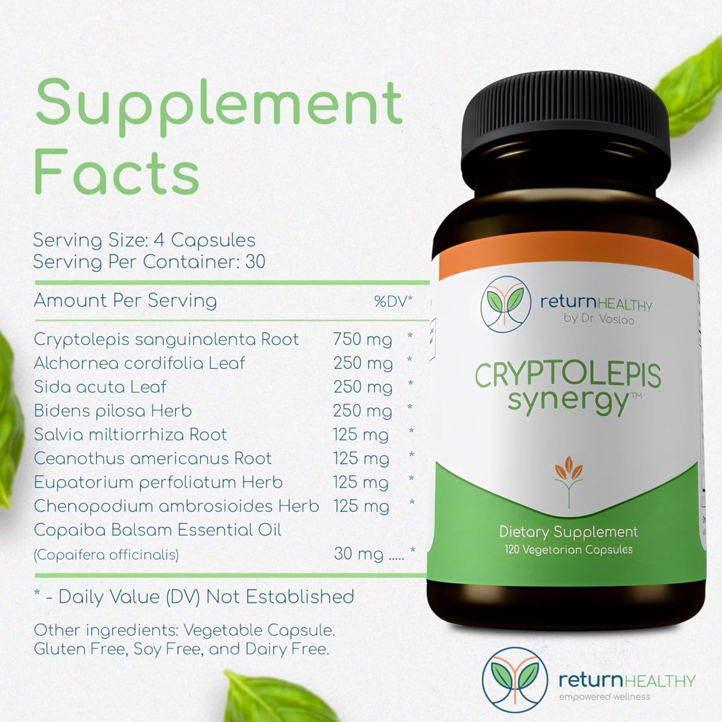 Return Healthy Cryptolepis Synergy Immune Support Vitamins Immune System Booster for Adults, Liver, Lymphatic & Immune Support Supplement Supports Lyme & Natural Parasite Defense, 360 Capsules