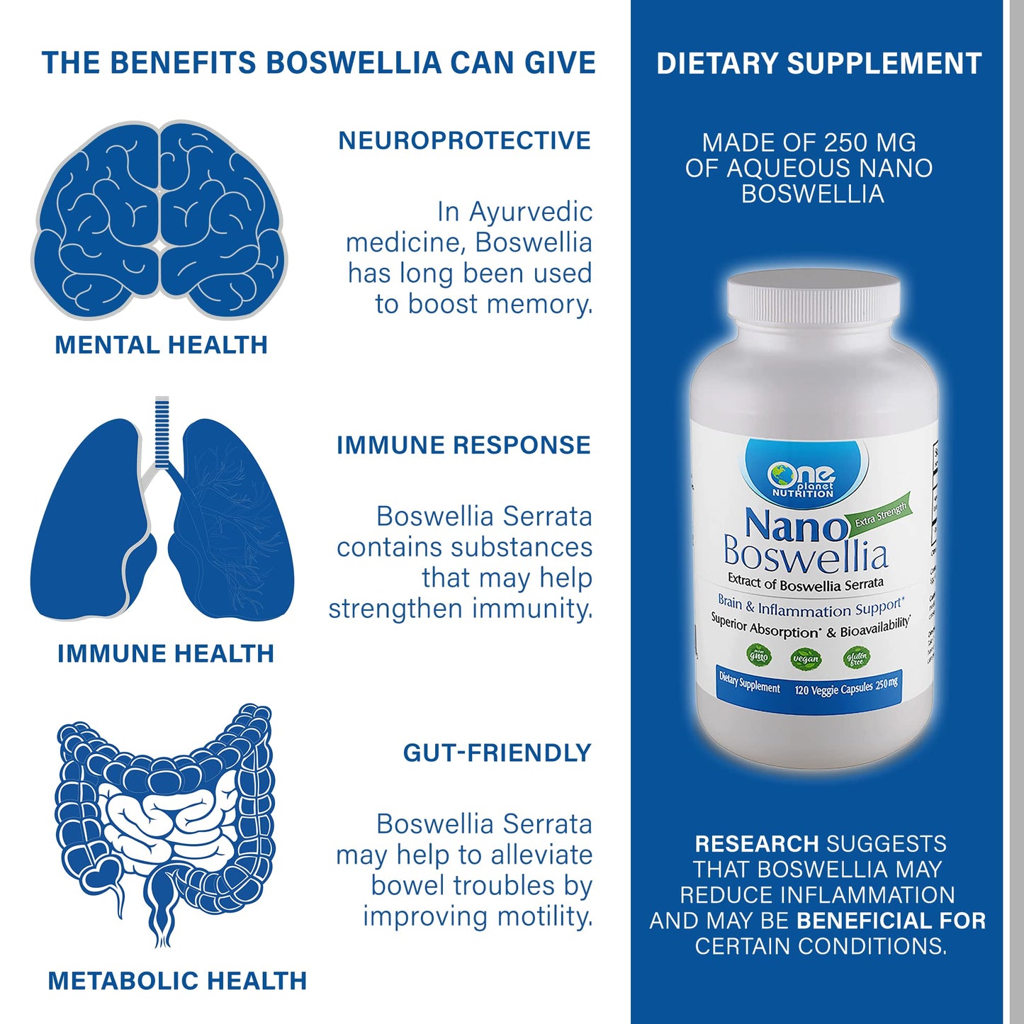 One Planet Nutrition Nano Boswellia 250 mg Veggie Capsules, 120 Capsules
