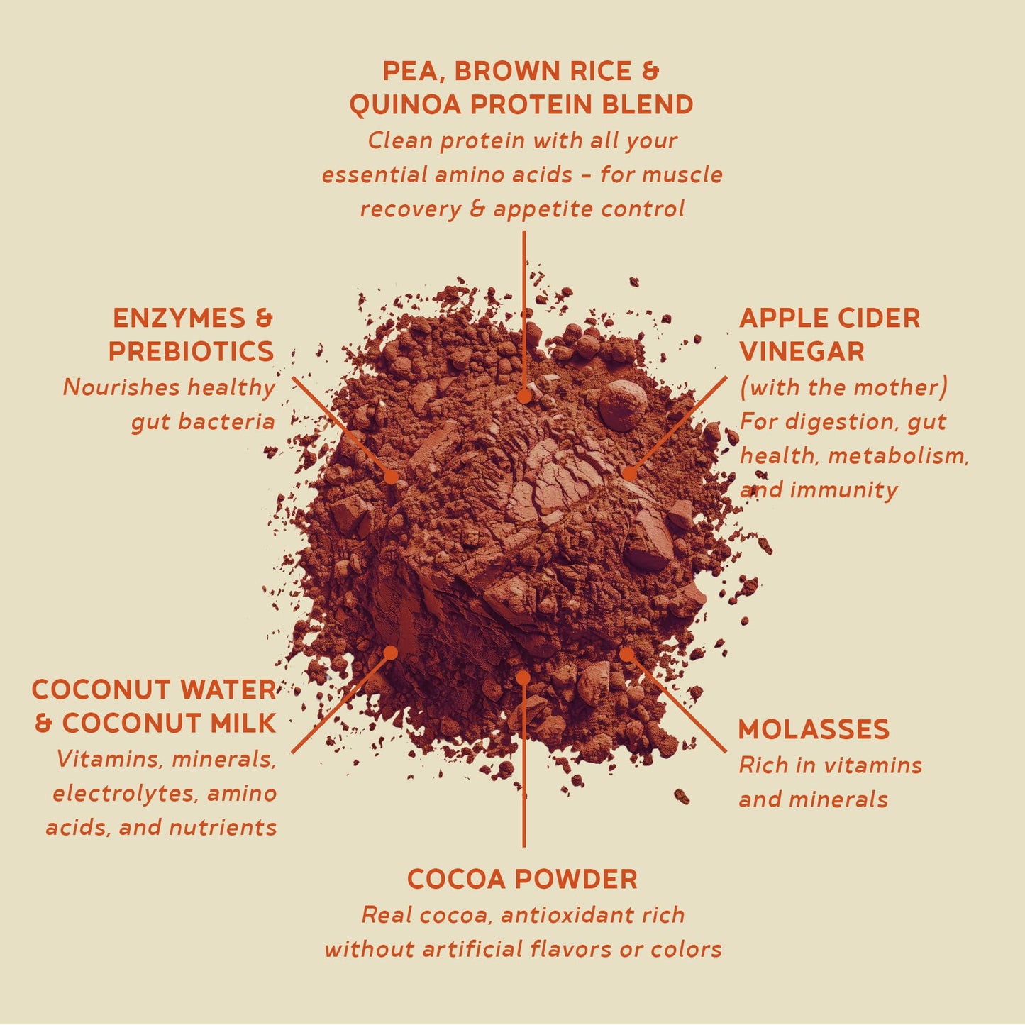 BBfL Plant-Based Protein Shake Powder, 29.1